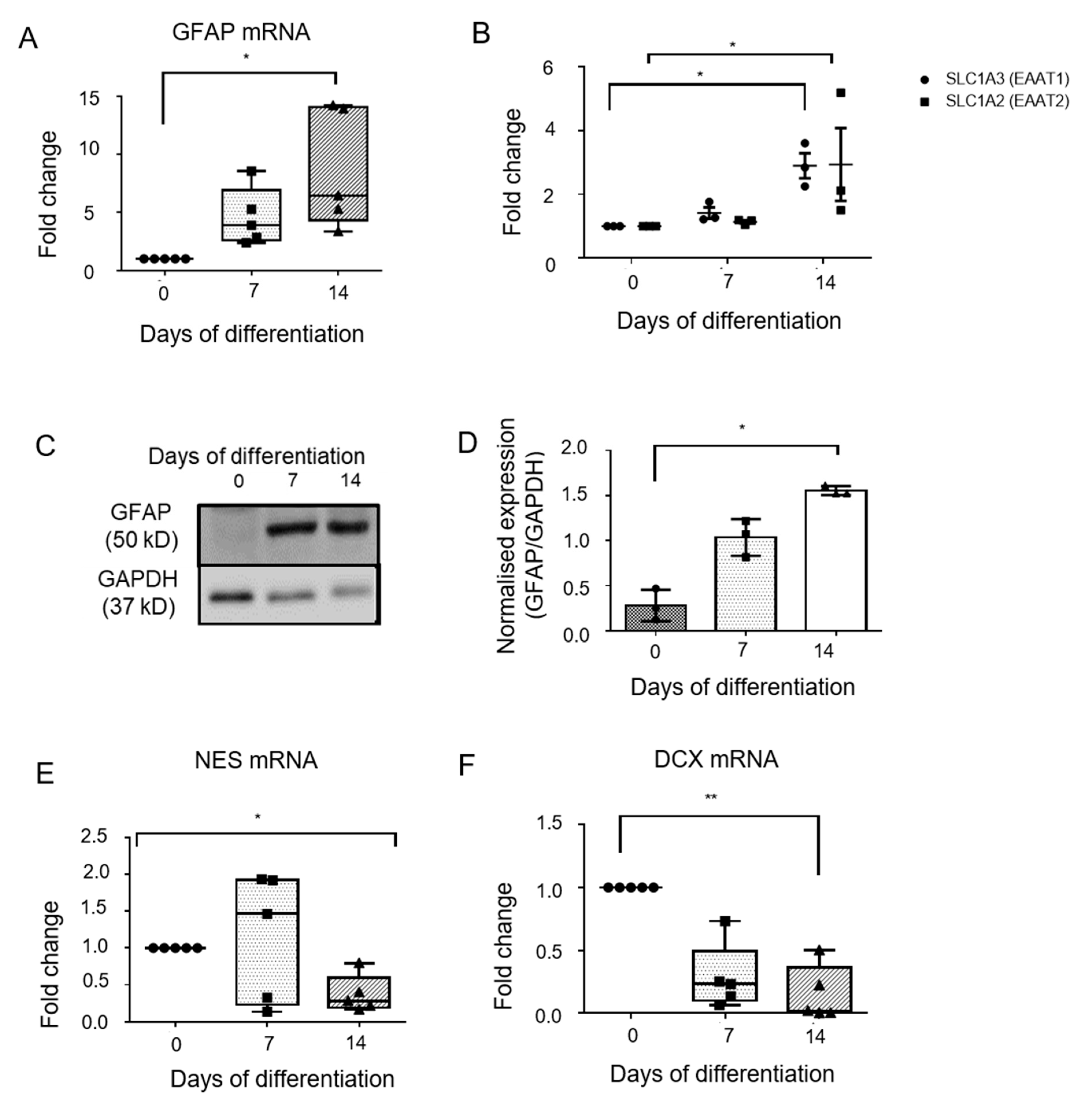 Genes 13 00506 g002 Genes 13 00506 g002