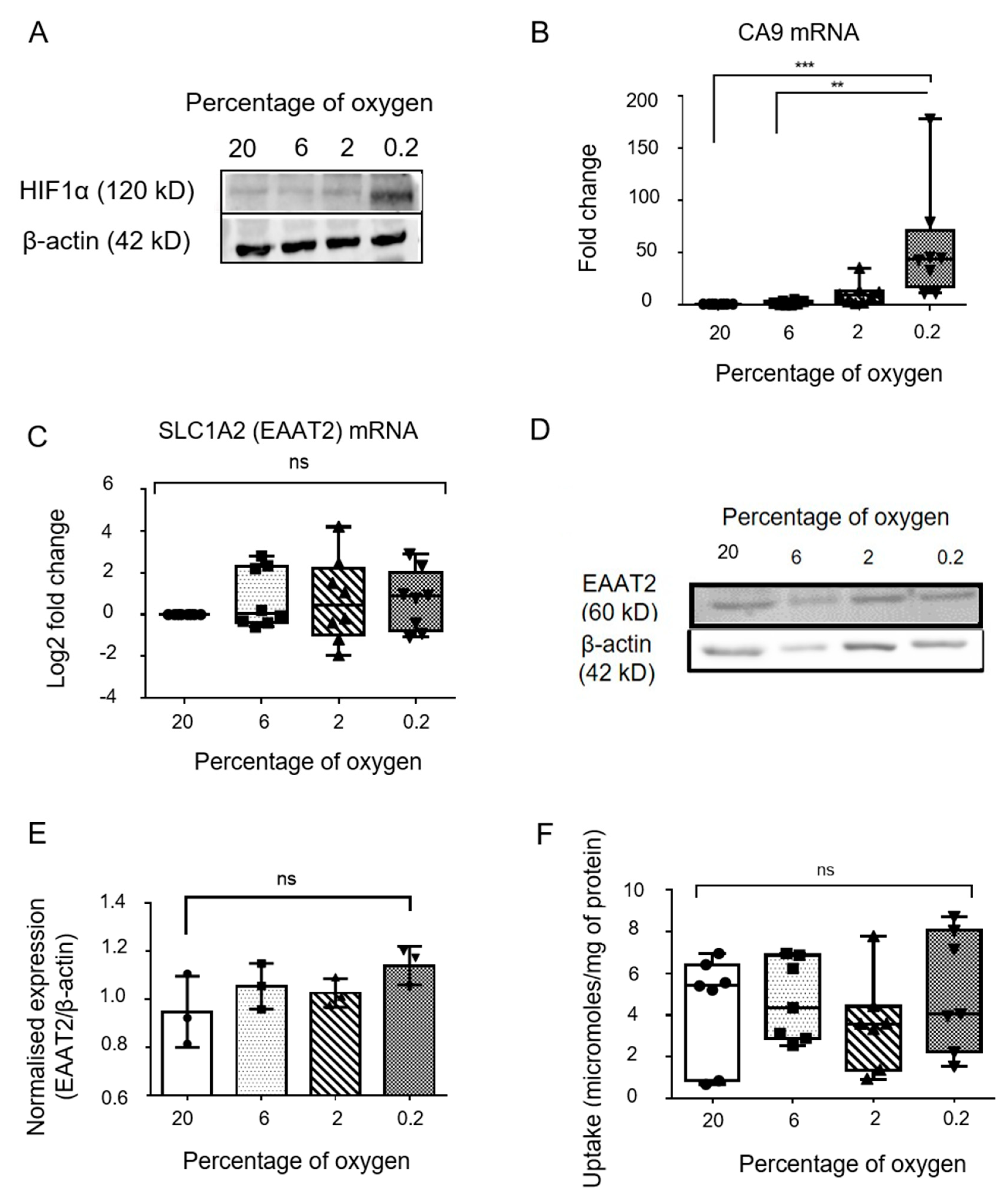 Genes 13 00506 g004 Genes 13 00506 g004