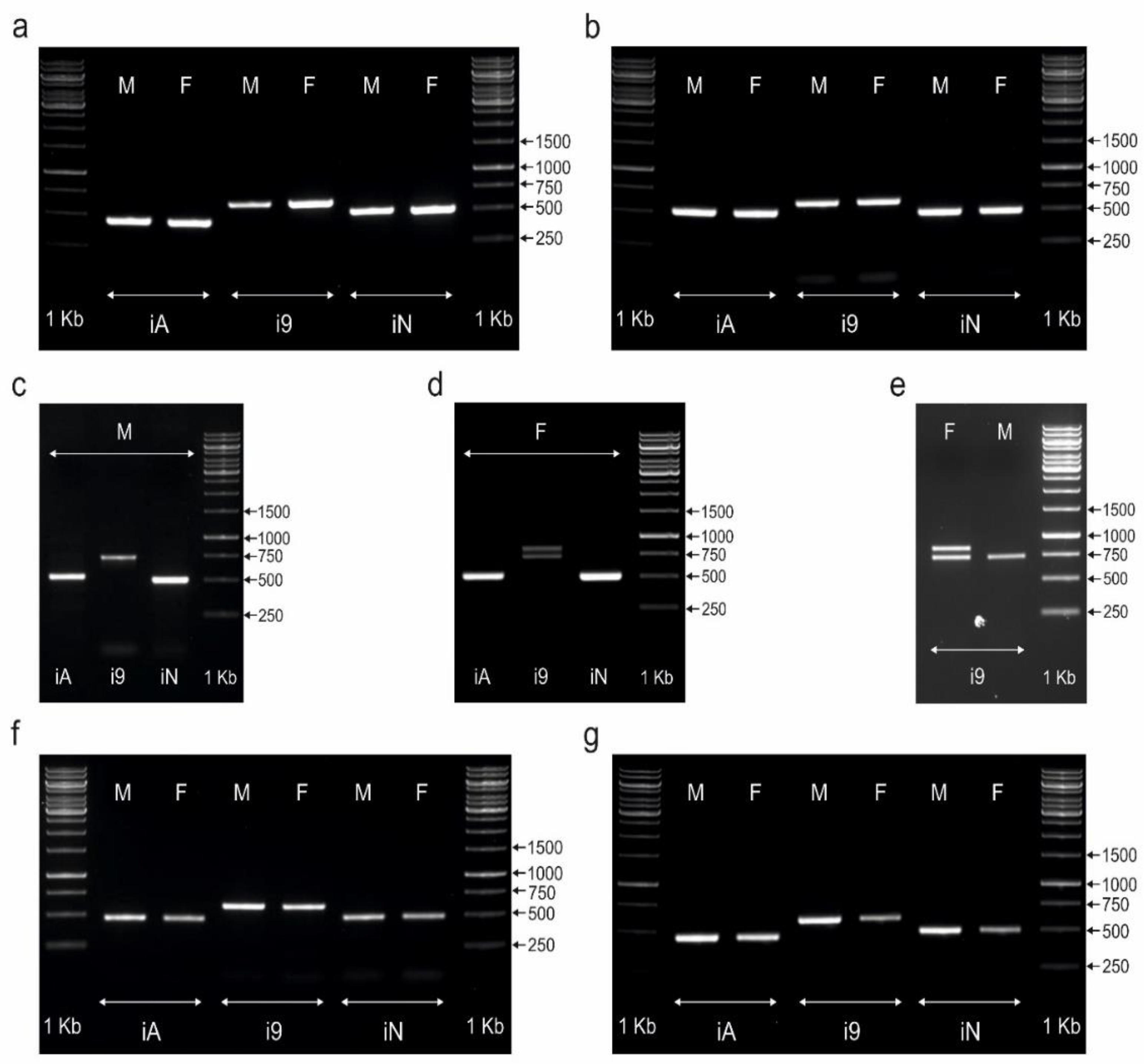 Genes 13 00507 g001 Genes 13 00507 g001