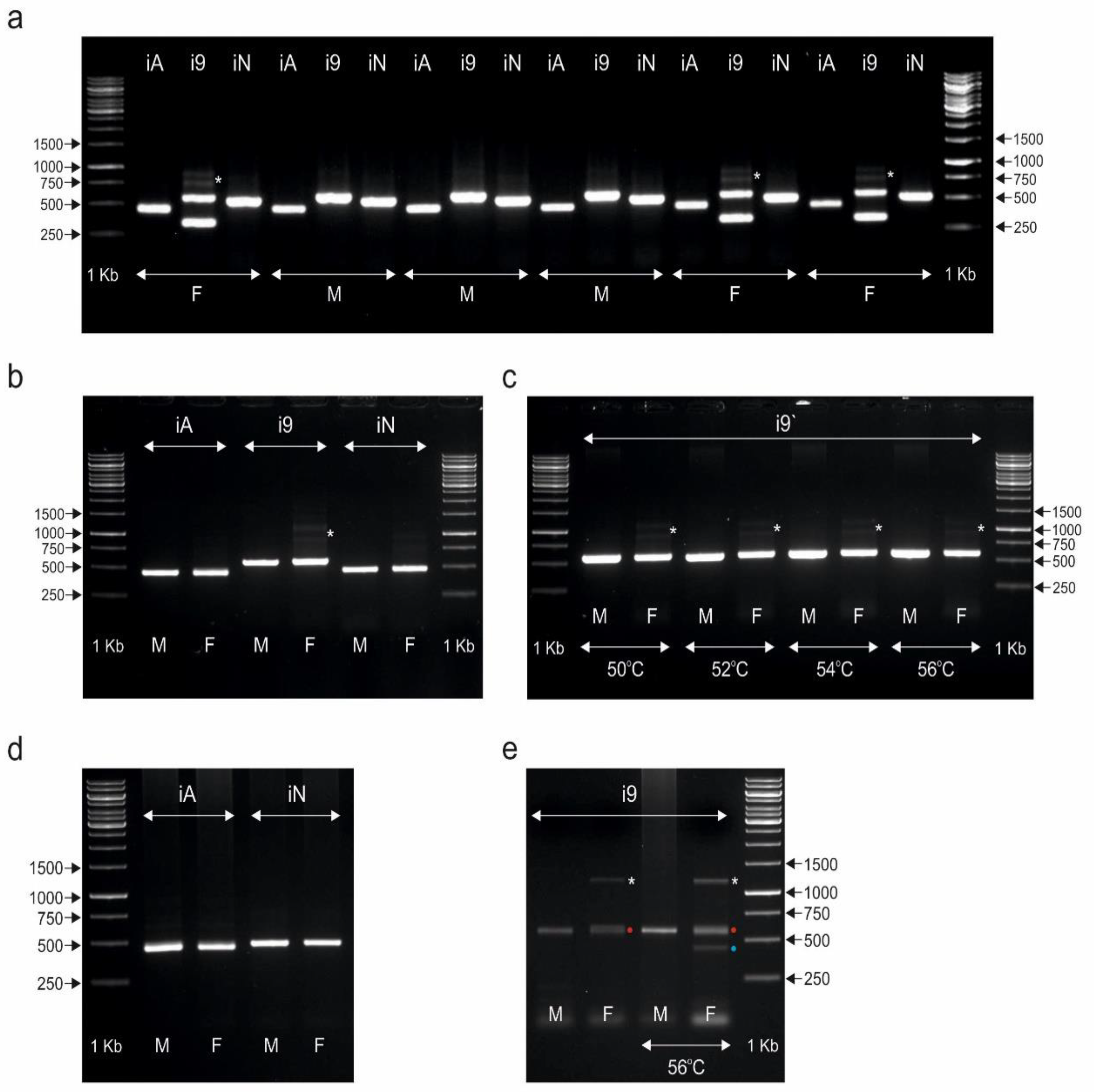 Genes 13 00507 g002 Genes 13 00507 g002