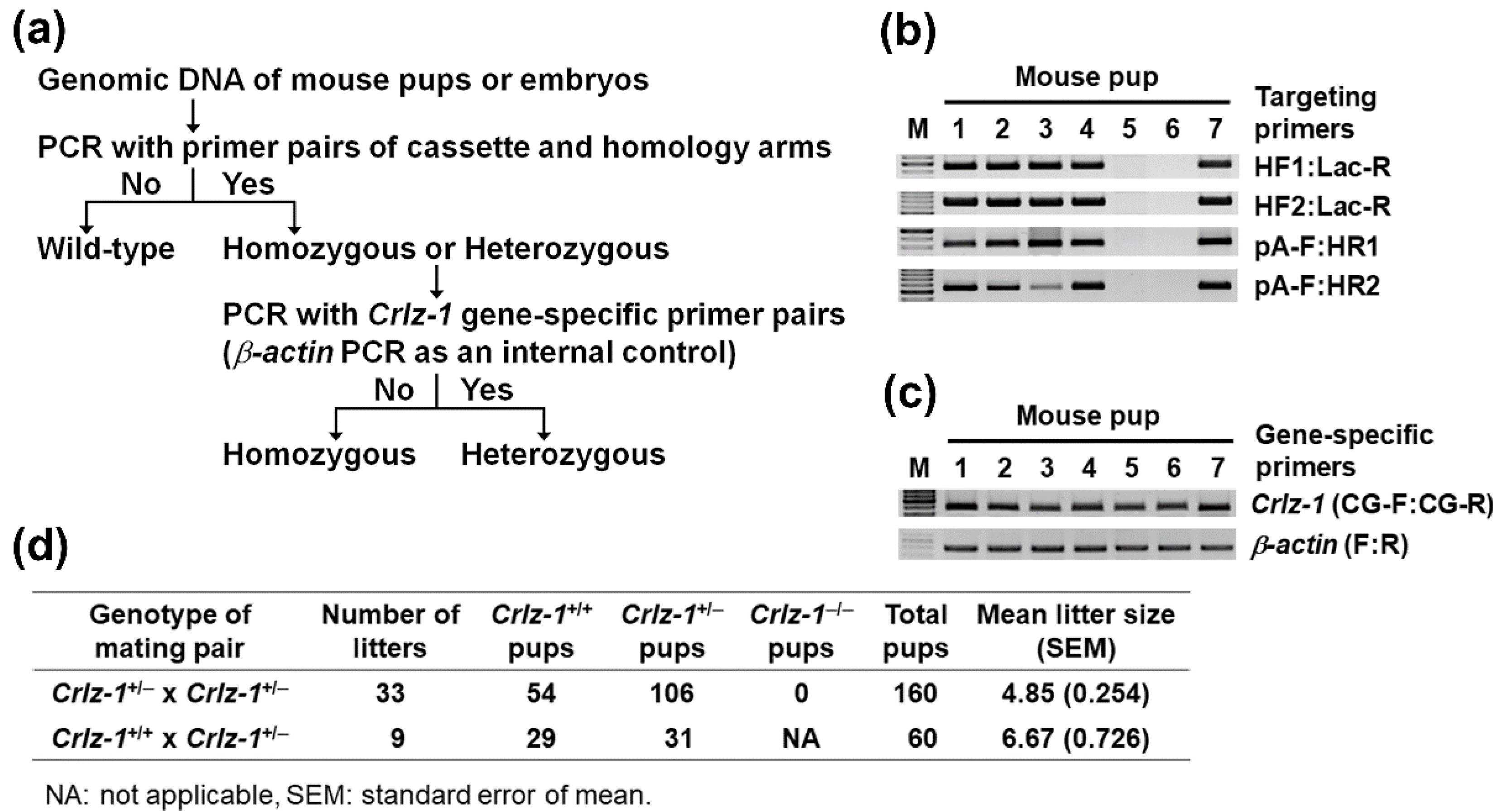 Genes 13 00511 g002