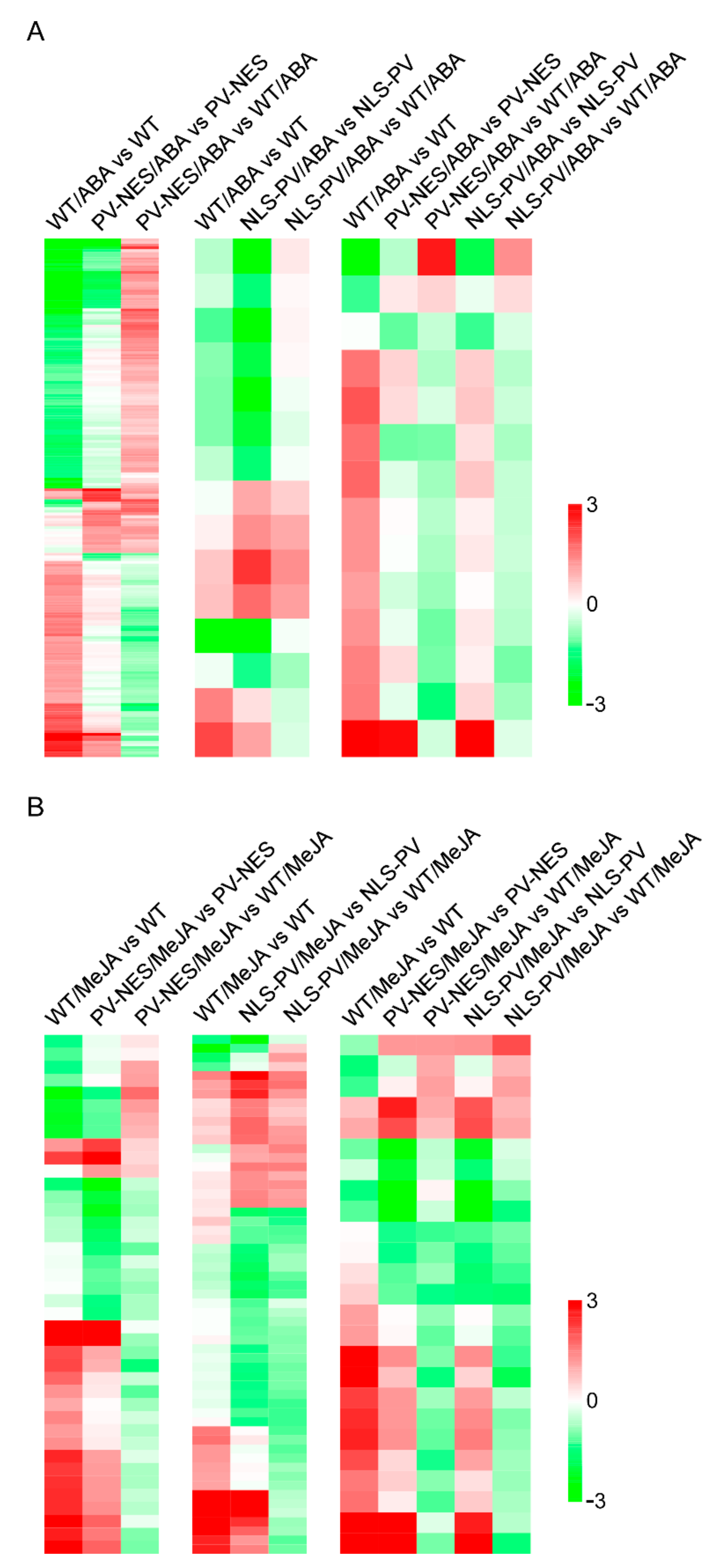 Genes 13 00524 g002 Genes 13 00524 g002