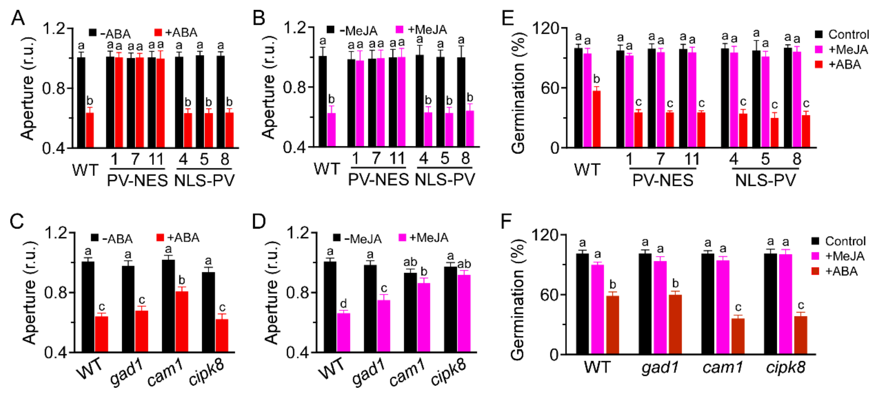 Genes 13 00524 g005 Genes 13 00524 g005