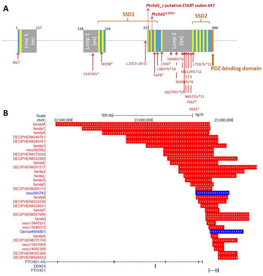 Genes 13 00527 g001 550