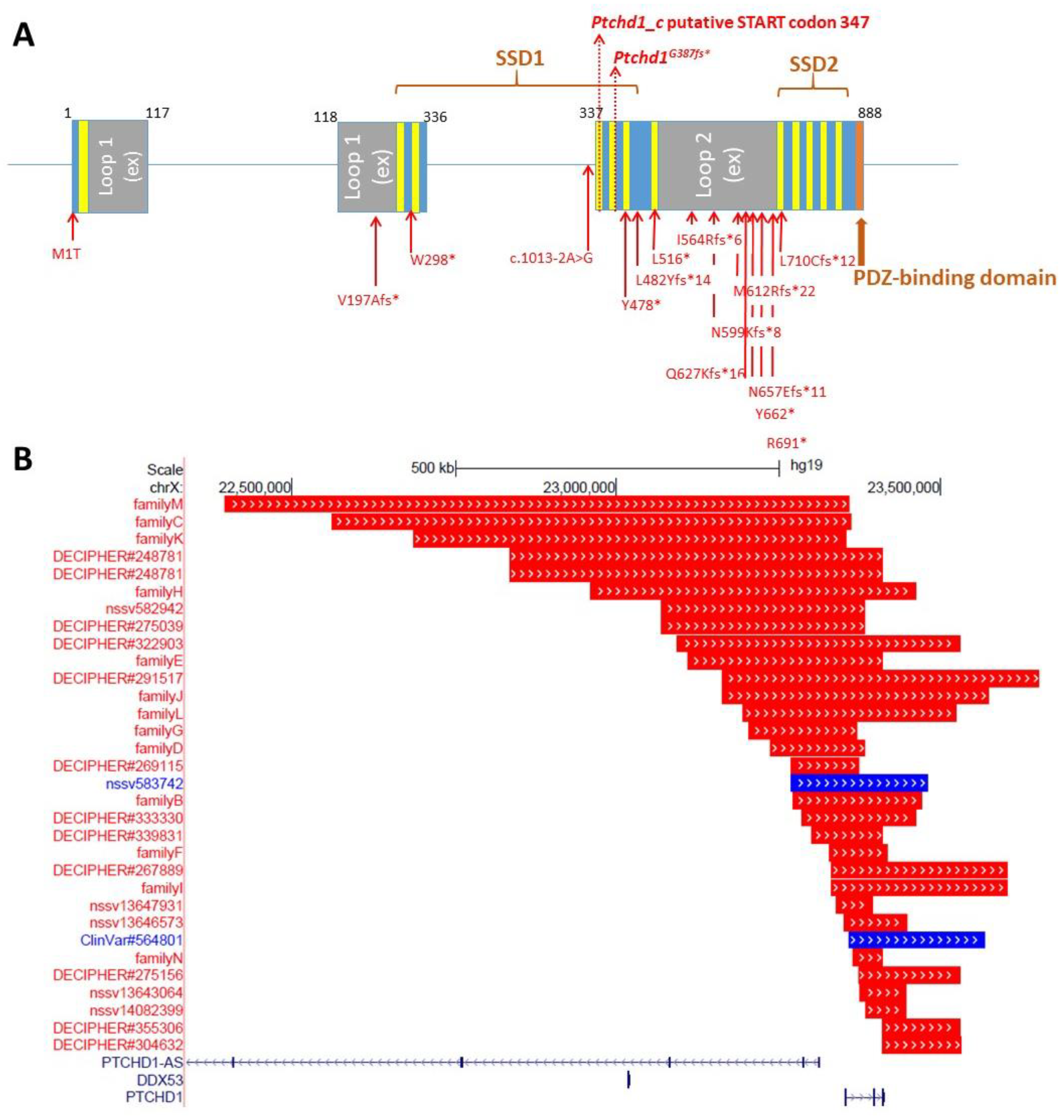 Genes 13 00527 g001