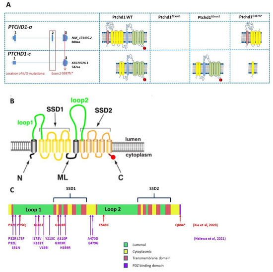 Genes 13 00527 g004 550