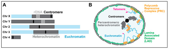 Genes 13 00529 g001 550