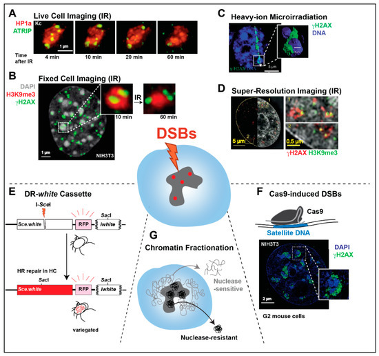 Genes 13 00529 g003 550