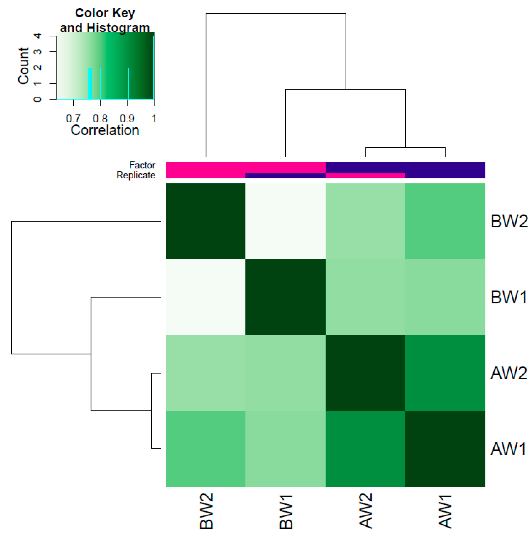Genes 13 00535 g002