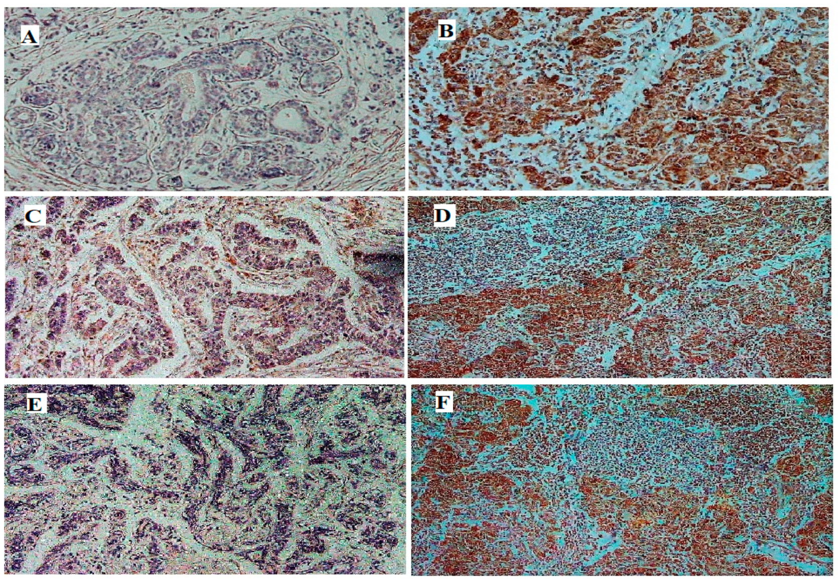 Genes 13 00549 g004 Genes 13 00549 g004
