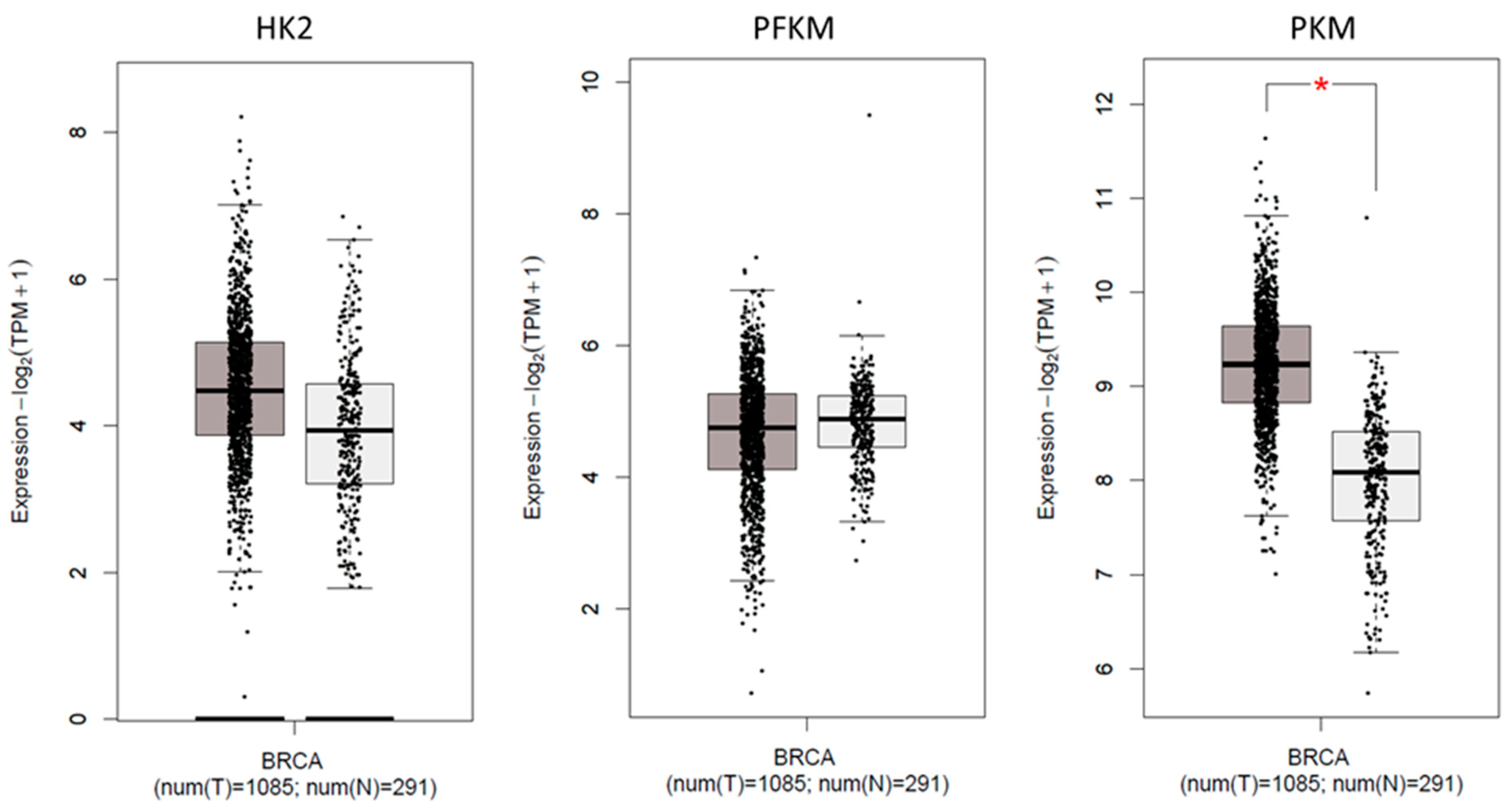 Genes 13 00549 g005 Genes 13 00549 g005