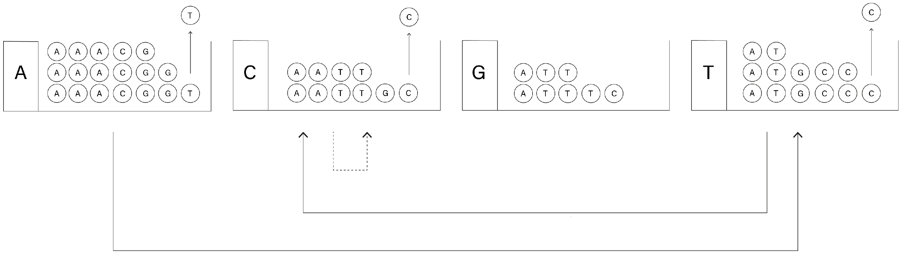 Genes 13 00554 g006 Genes 13 00554 g006