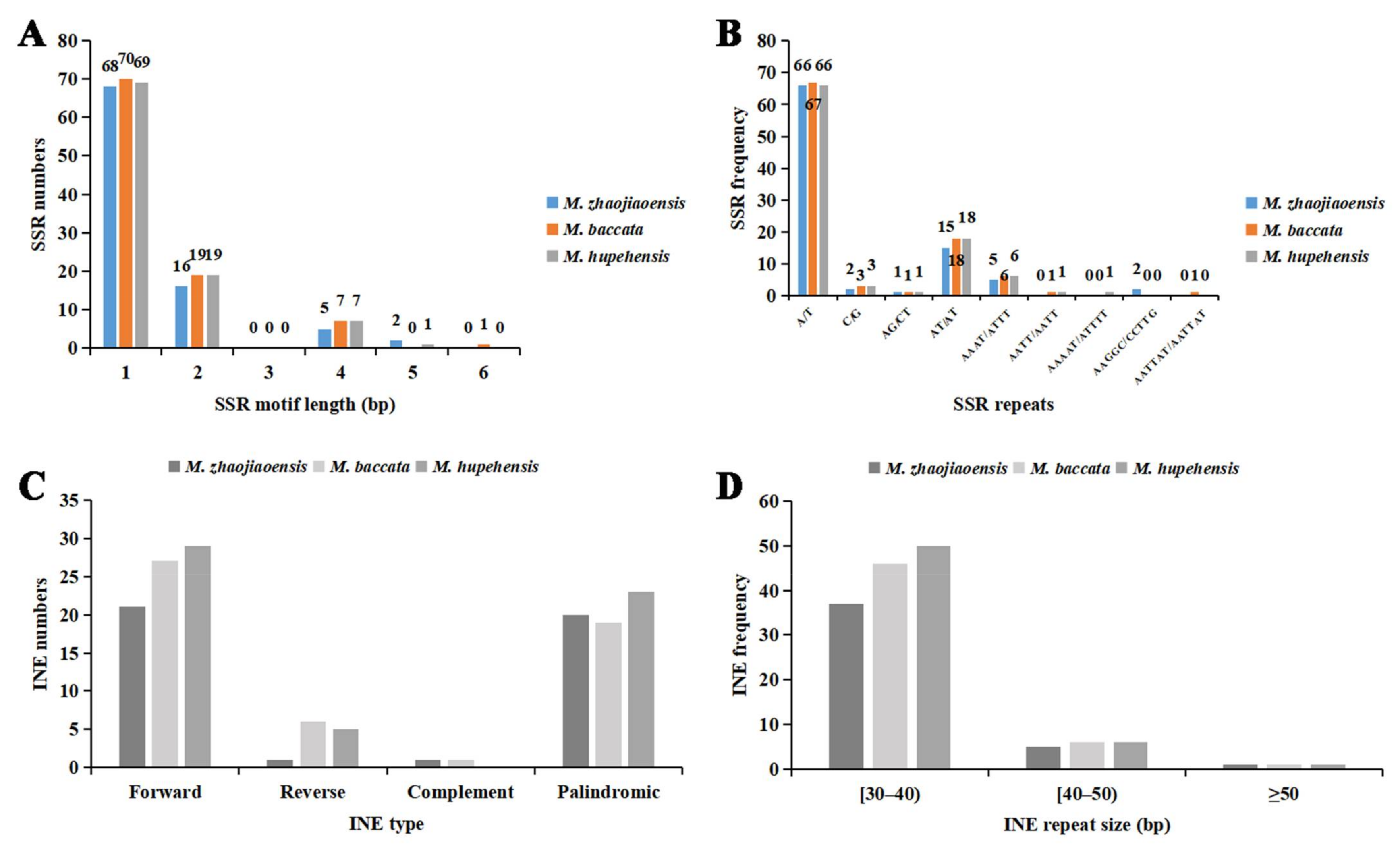 Genes 13 00560 g002