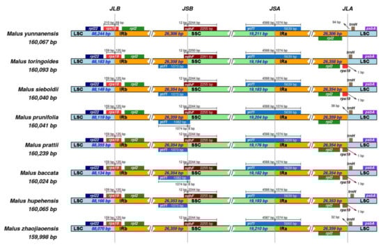 Genes 13 00560 g007 550