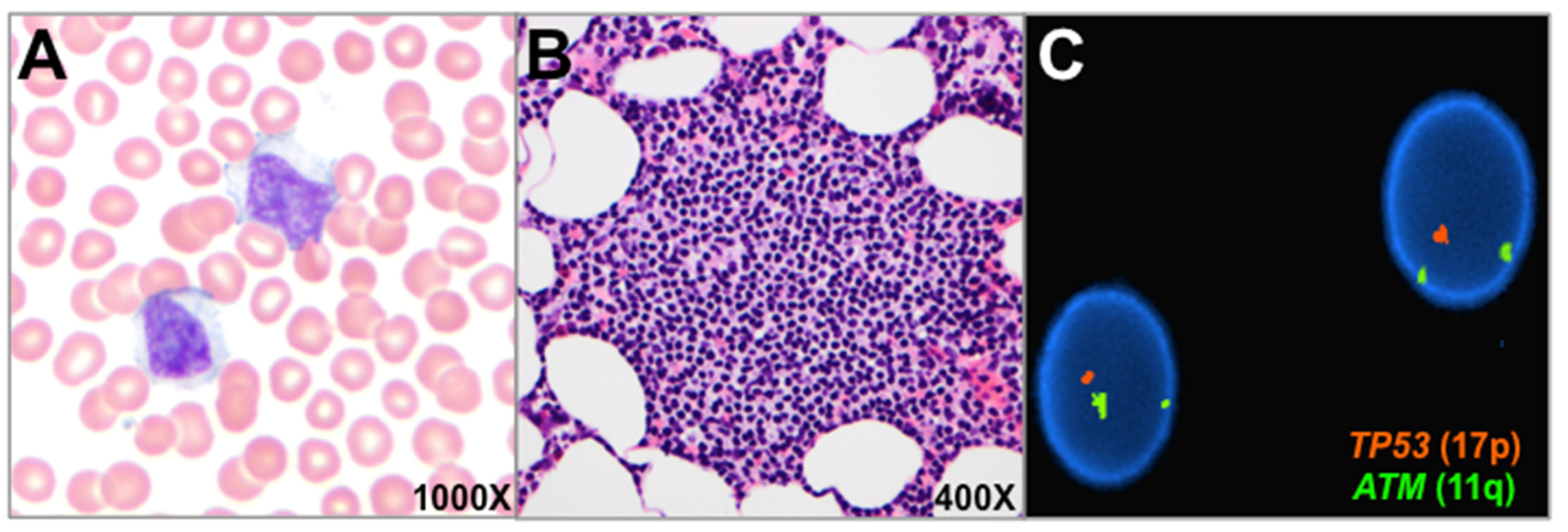 Genes 13 00591 g001 Genes 13 00591 g001