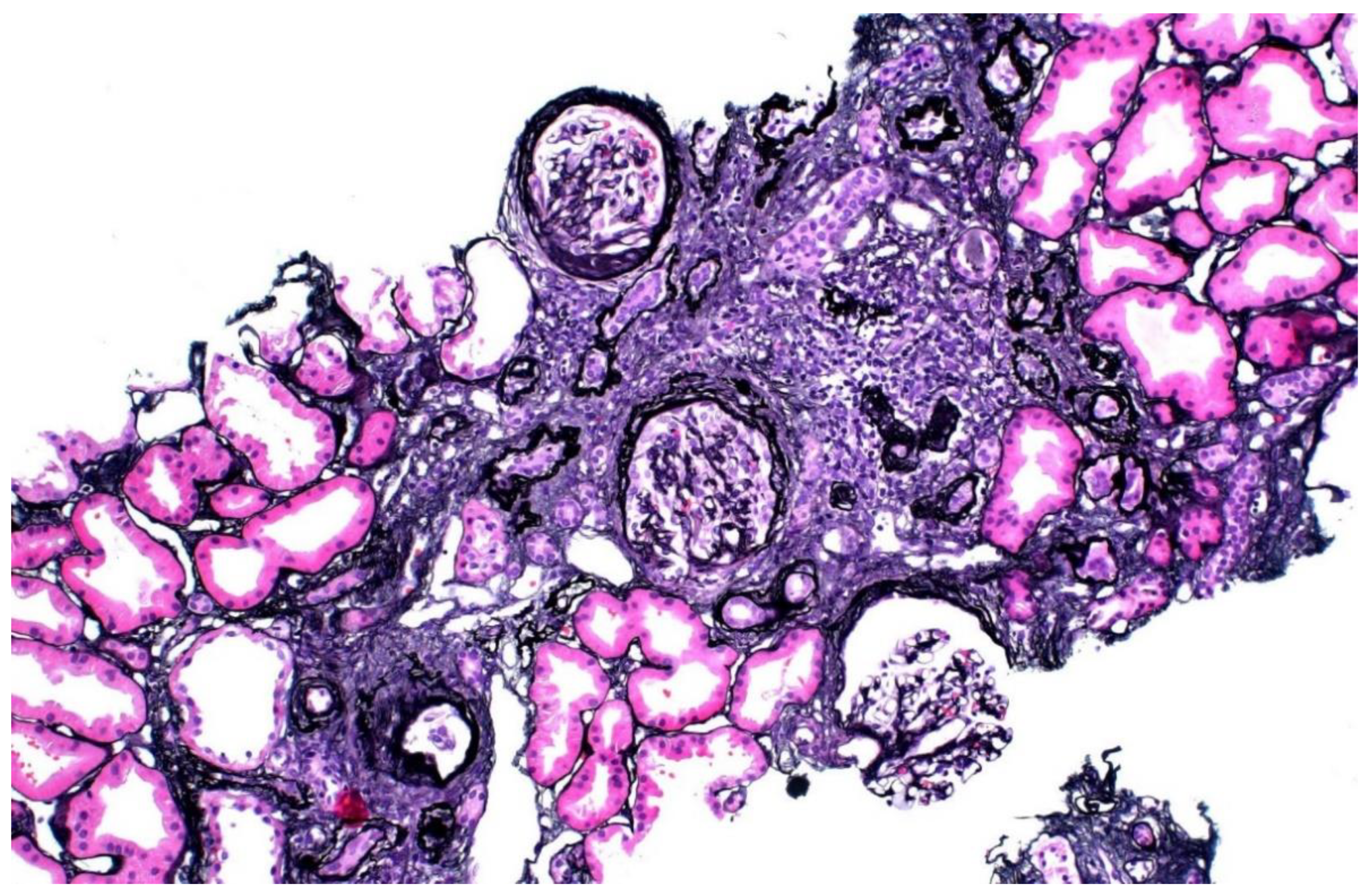 Genes 13 00592 g002 Genes 13 00592 g002
