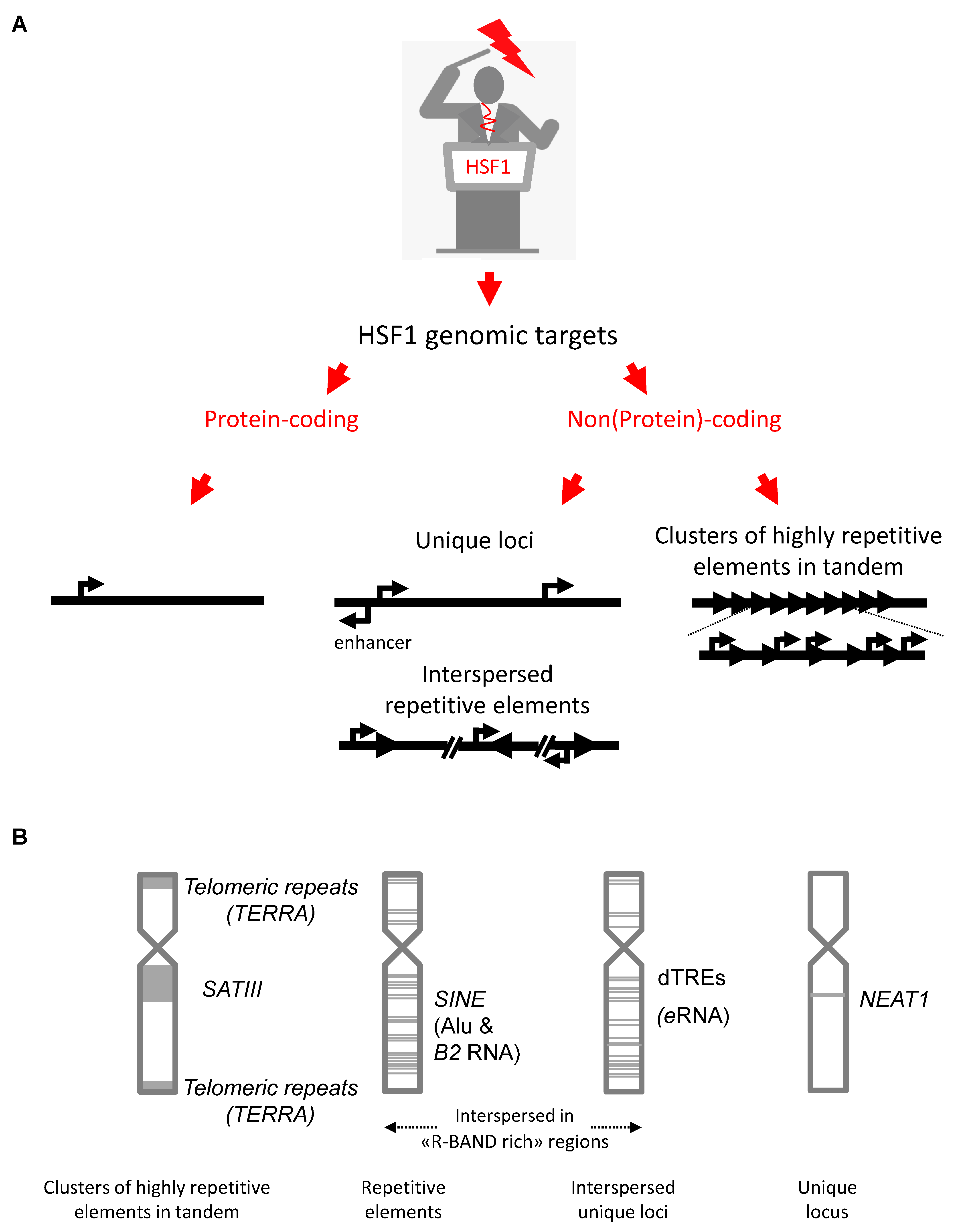 Genes 13 00597 g001