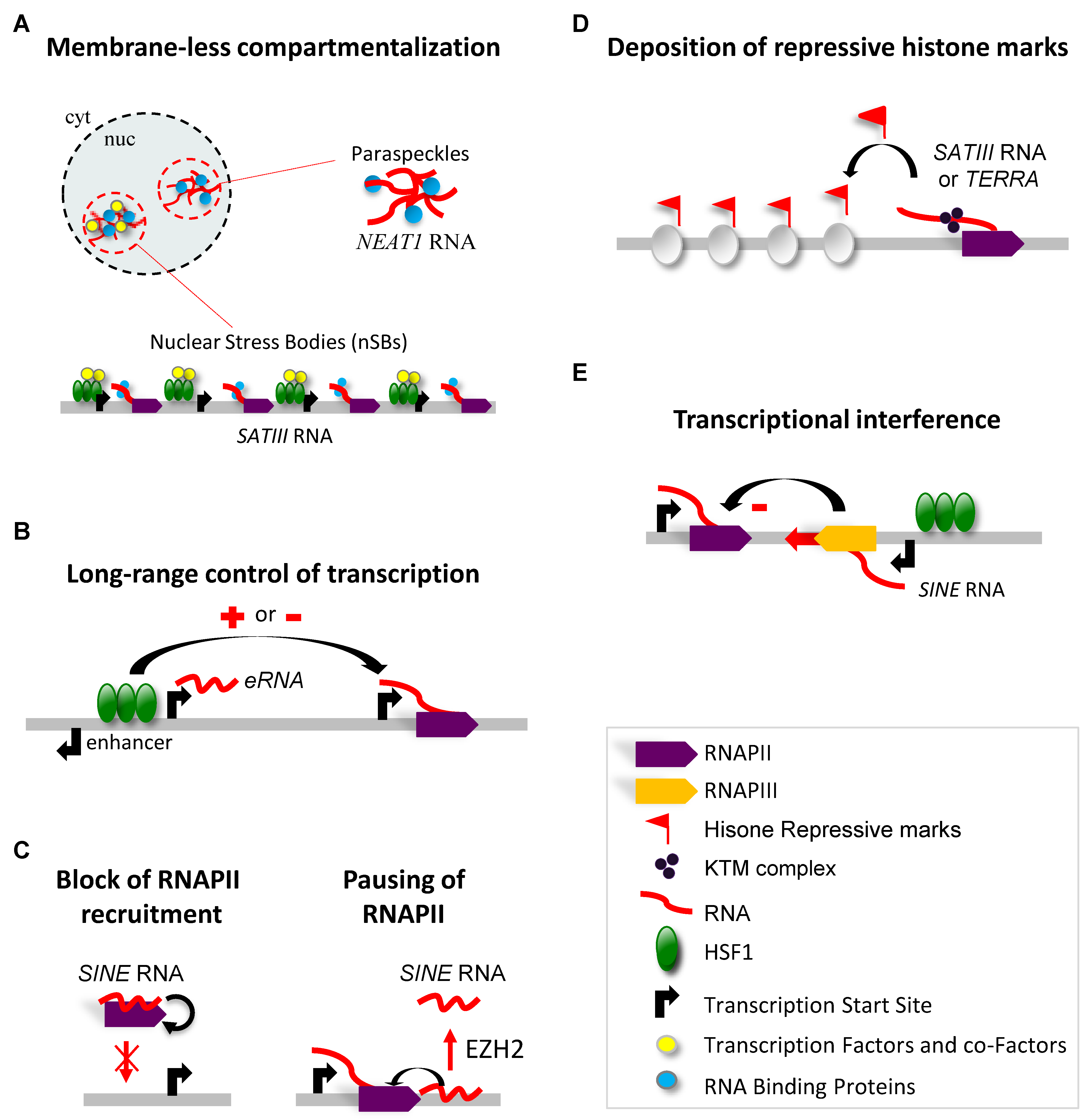 Genes 13 00597 g002