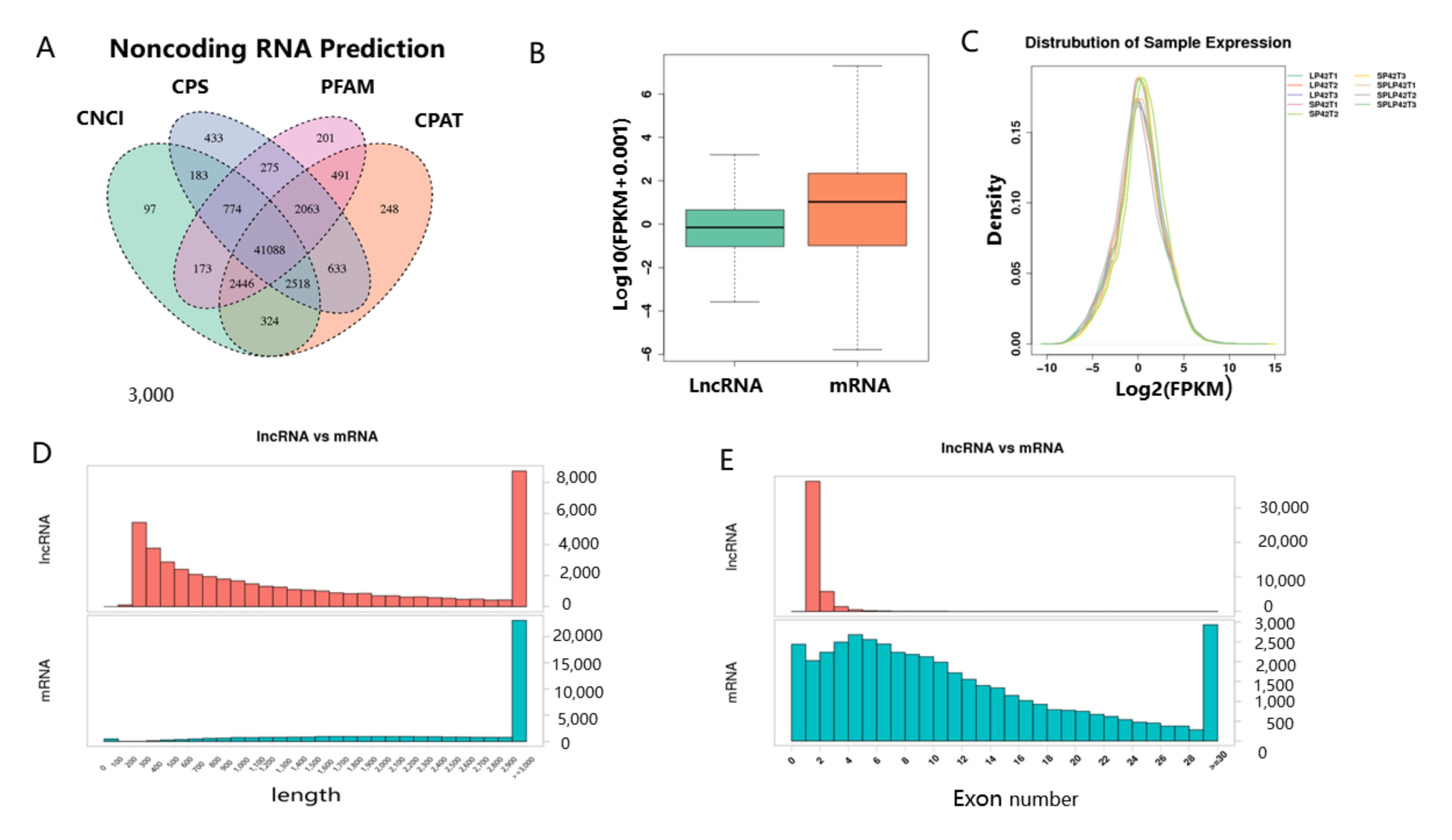 Genes 13 00606 g001