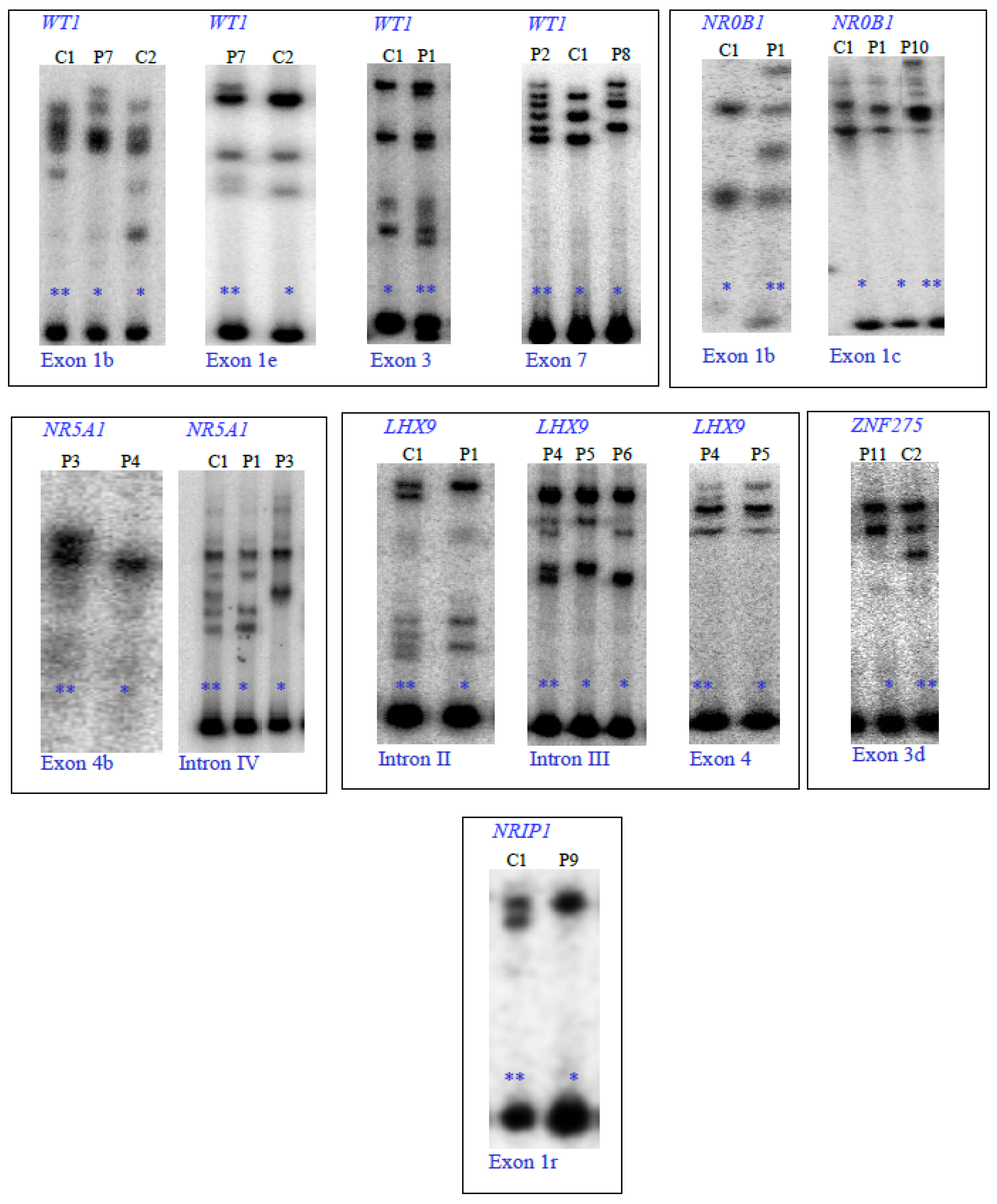 Genes 13 00611 g002