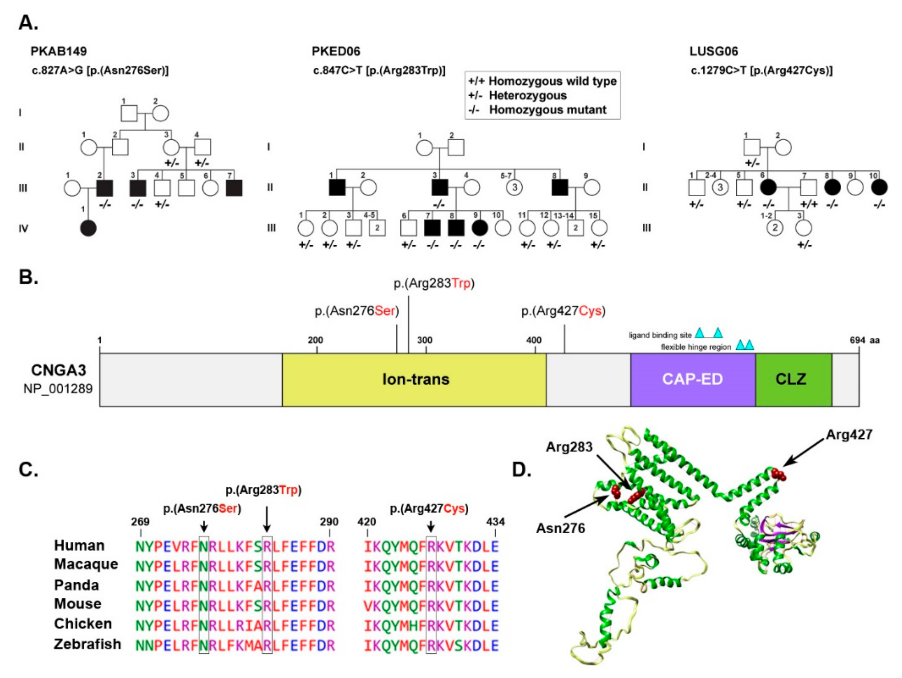 Genes 13 00617 g001