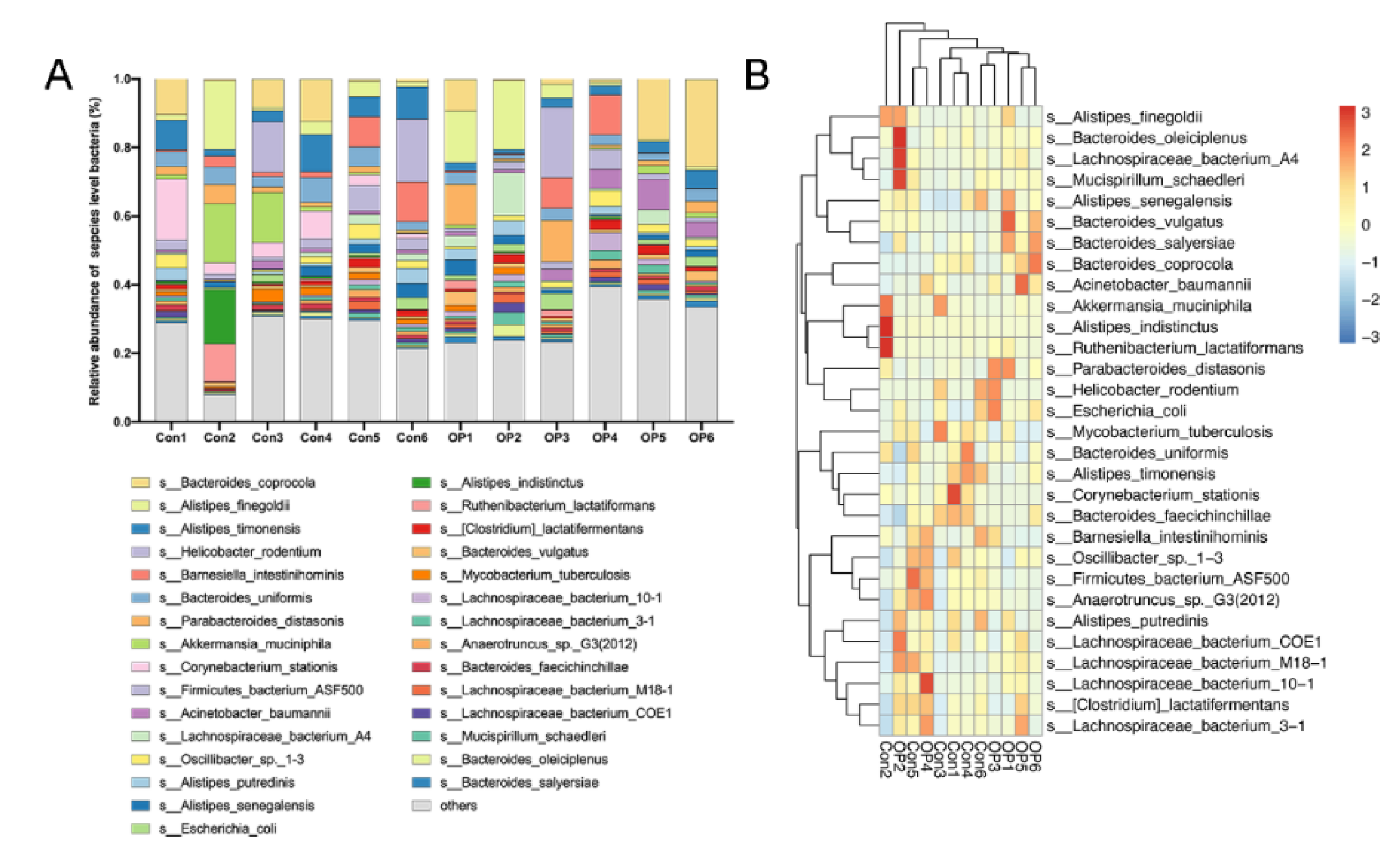 Genes 13 00619 g004 Genes 13 00619 g004