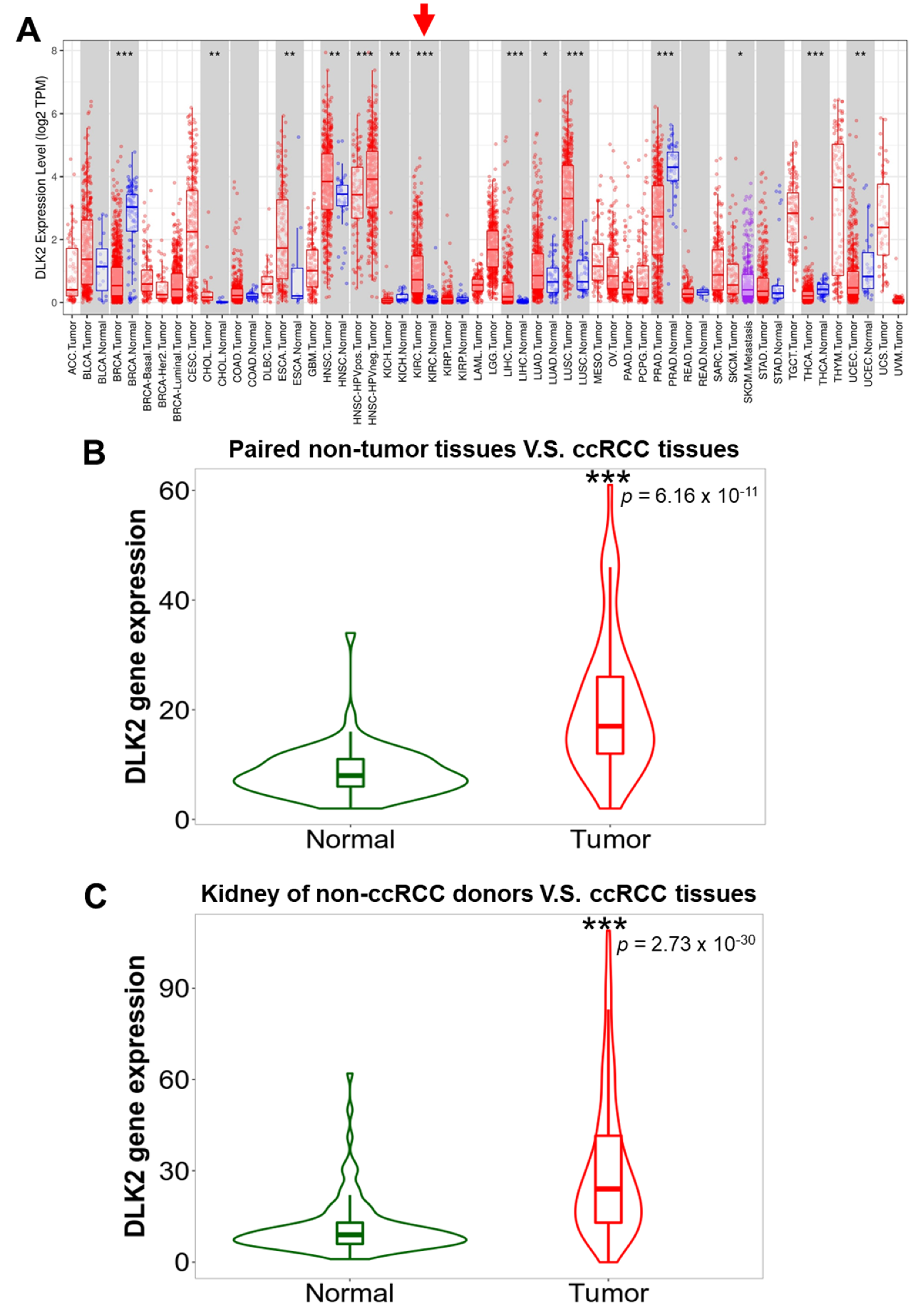 Genes 13 00629 g002