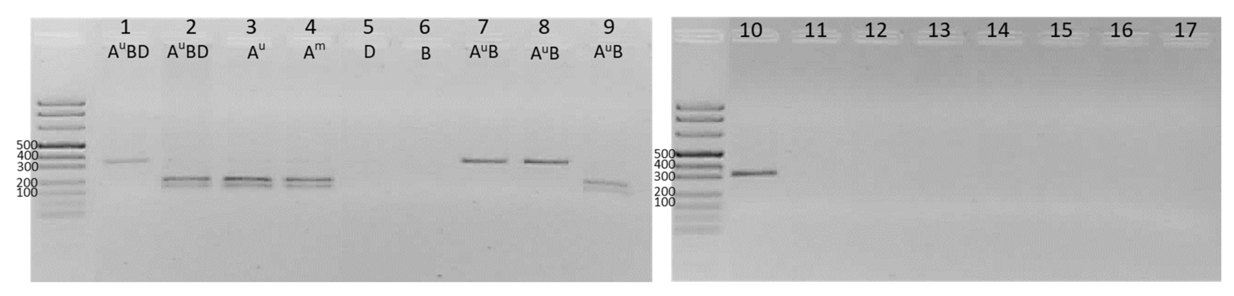 Genes 13 00633 g001