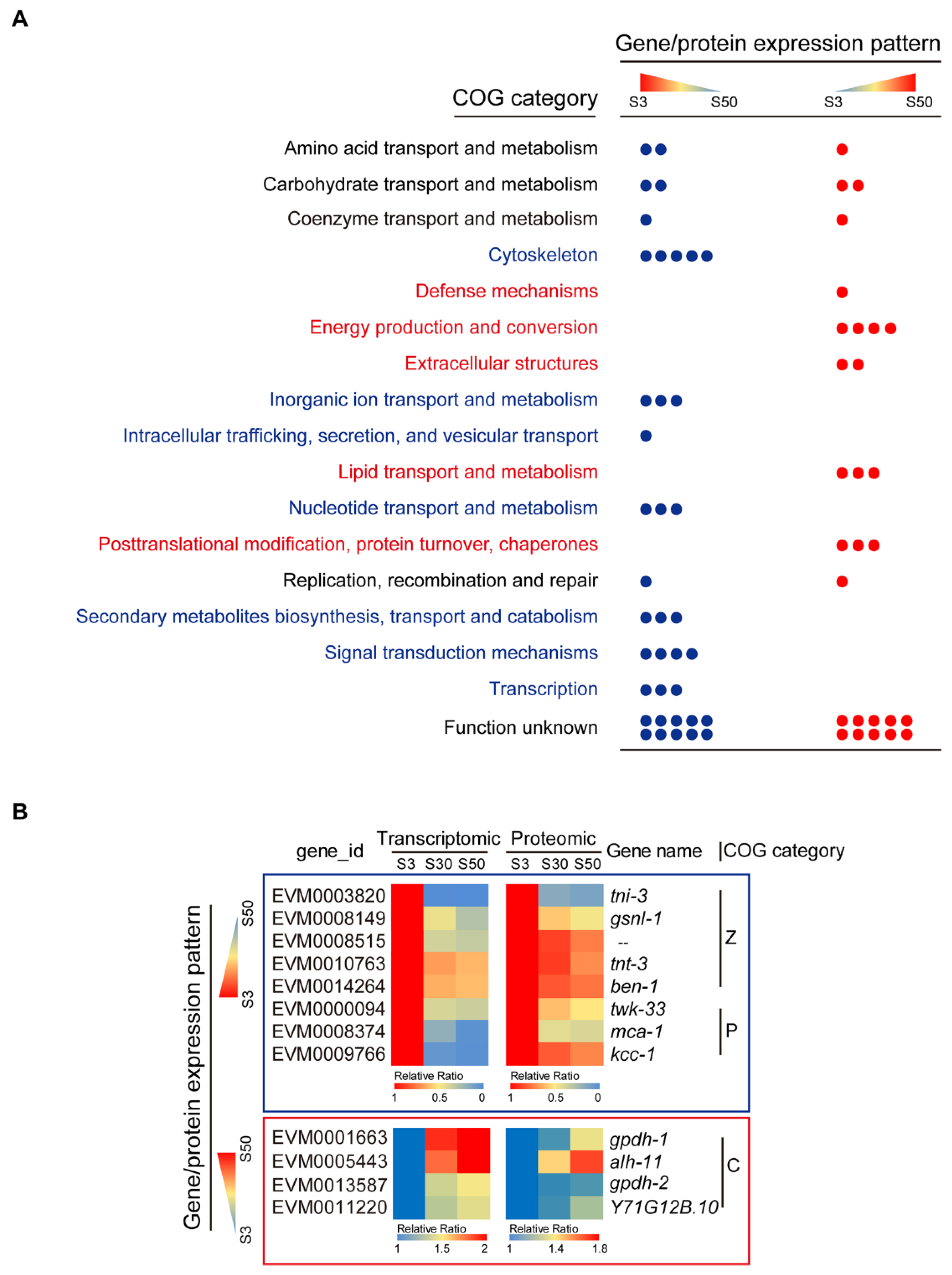 Genes 13 00651 g004