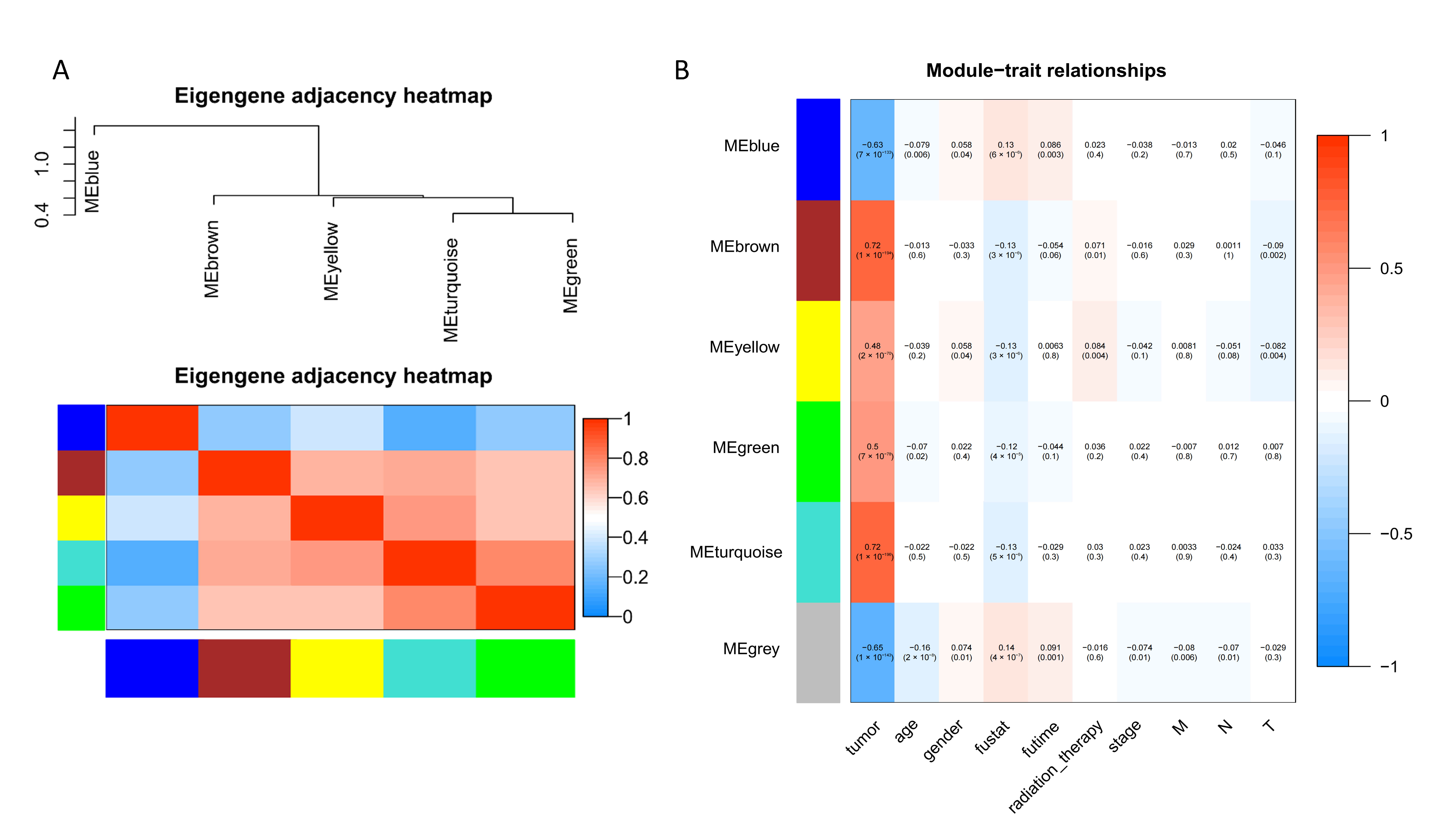 Genes 13 00654 g002