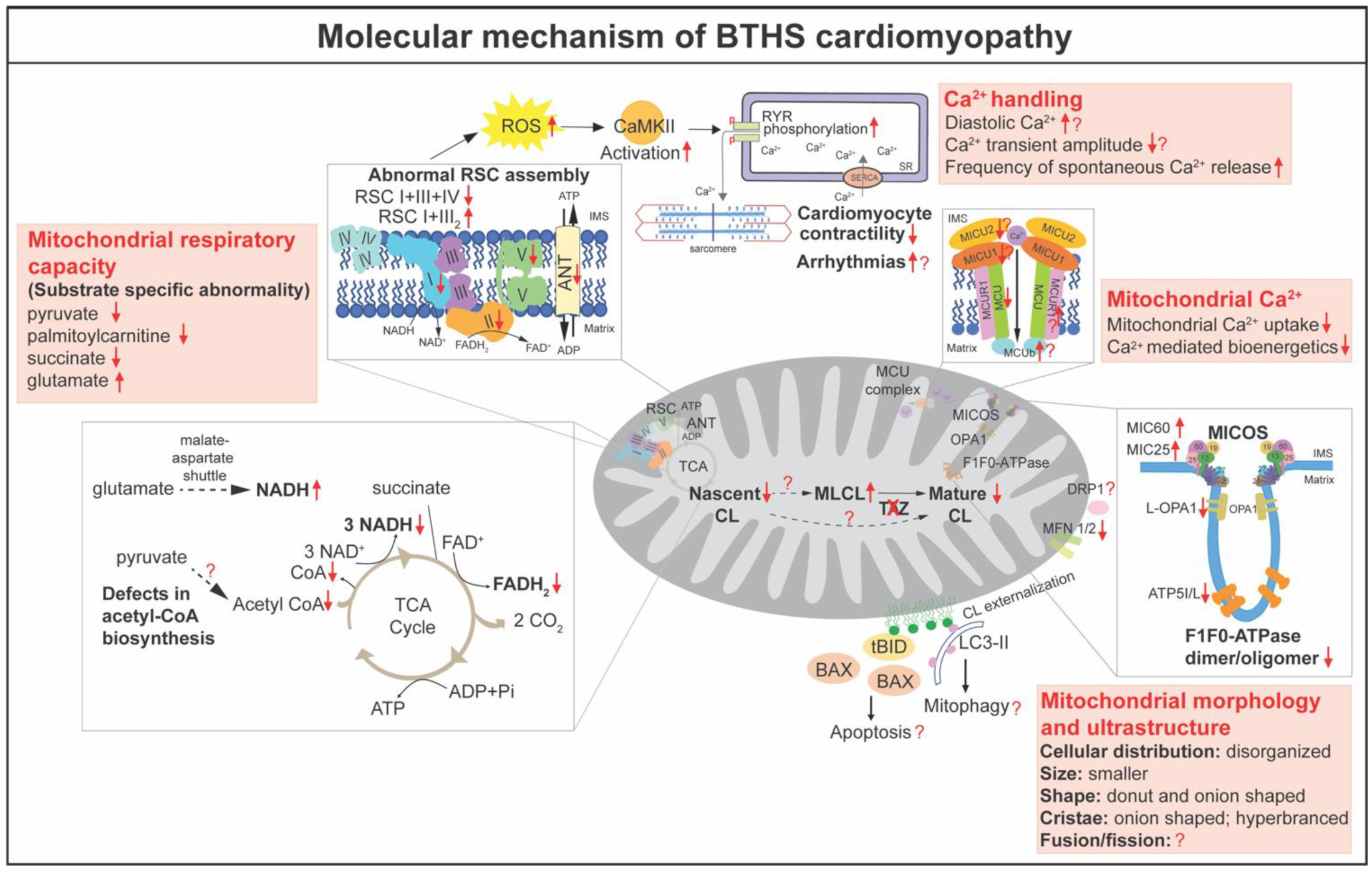 Genes 13 00656 g003