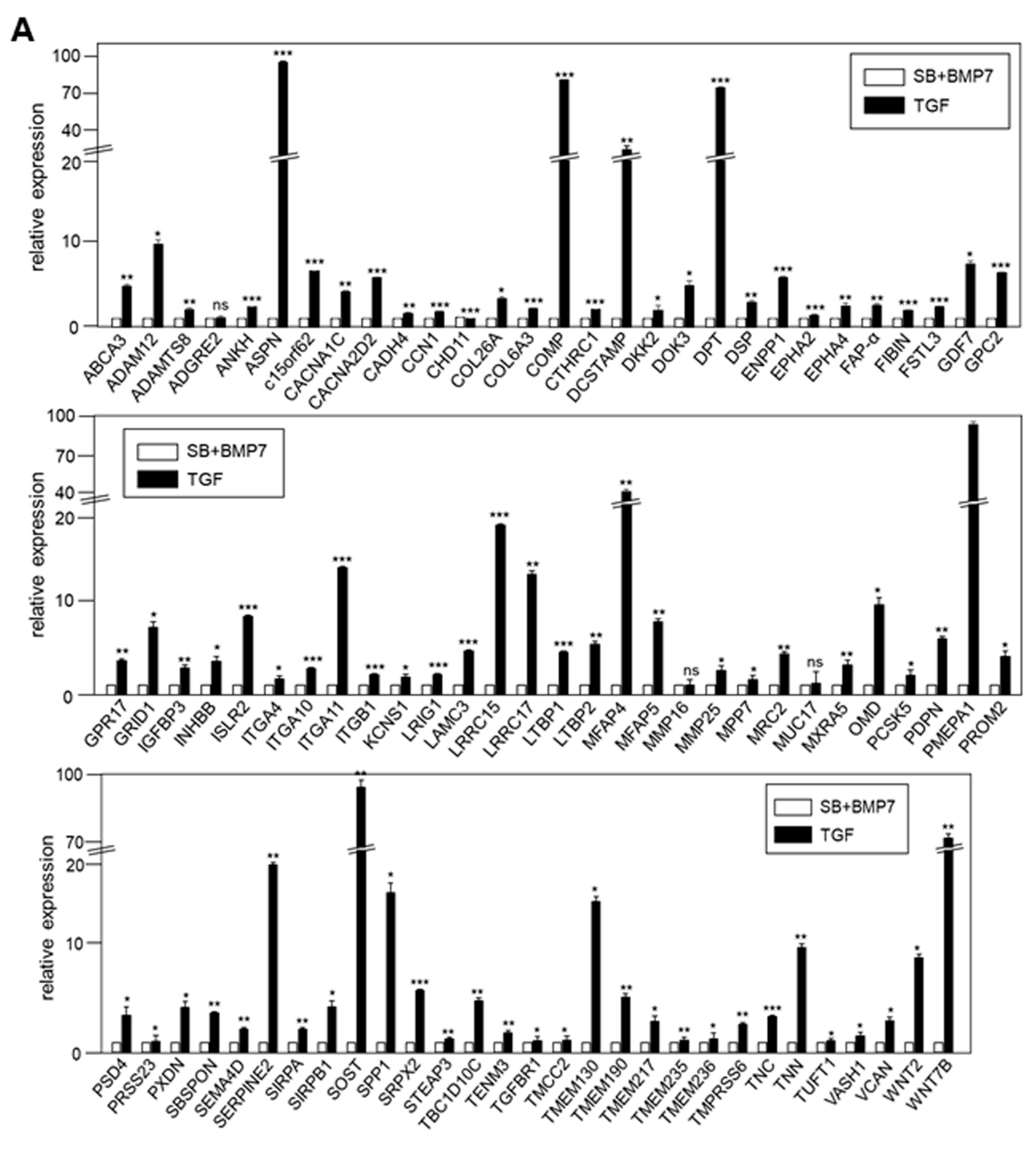 Genes 13 00659 g006a