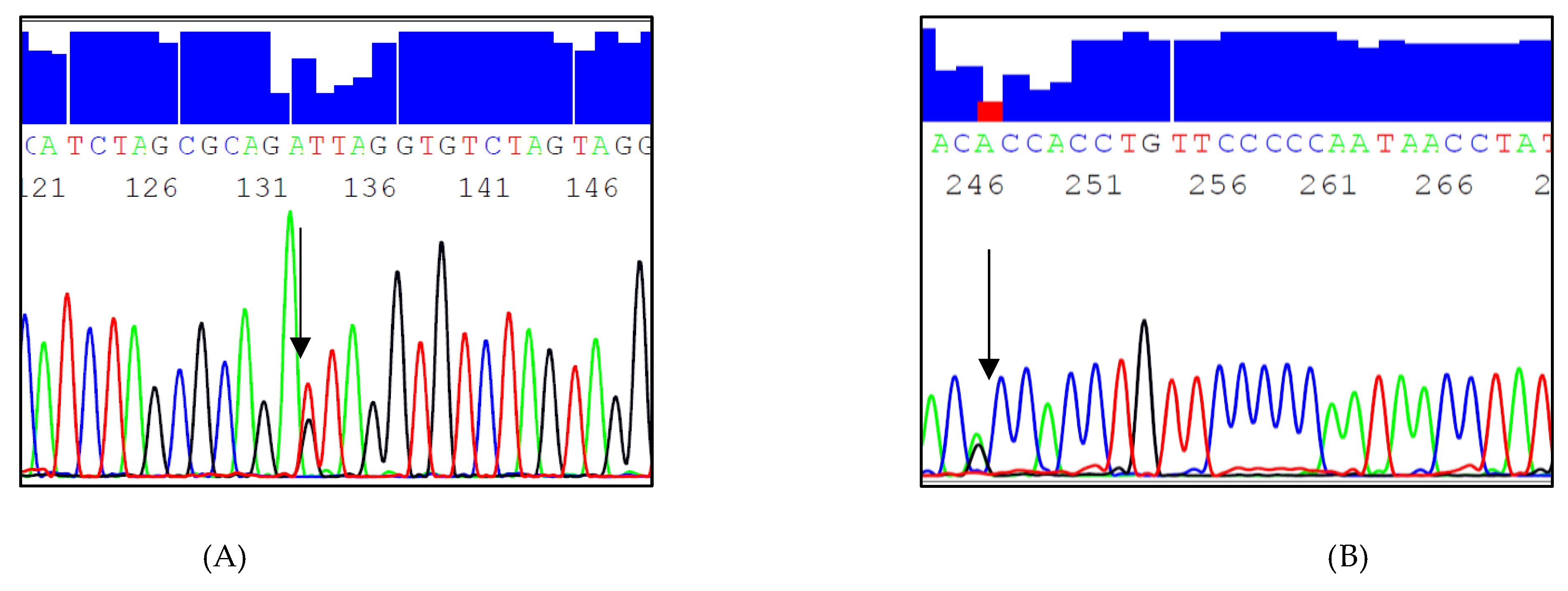 Genes 13 00664 g002a