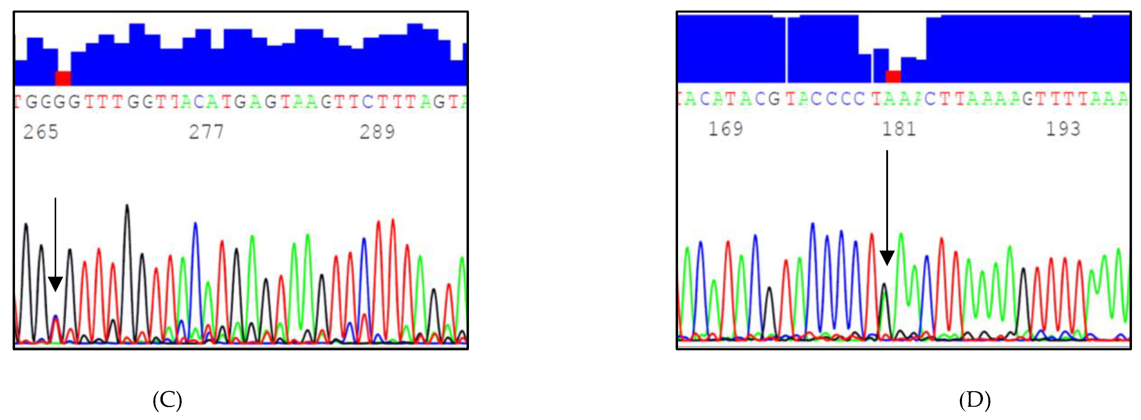 Genes 13 00664 g002b