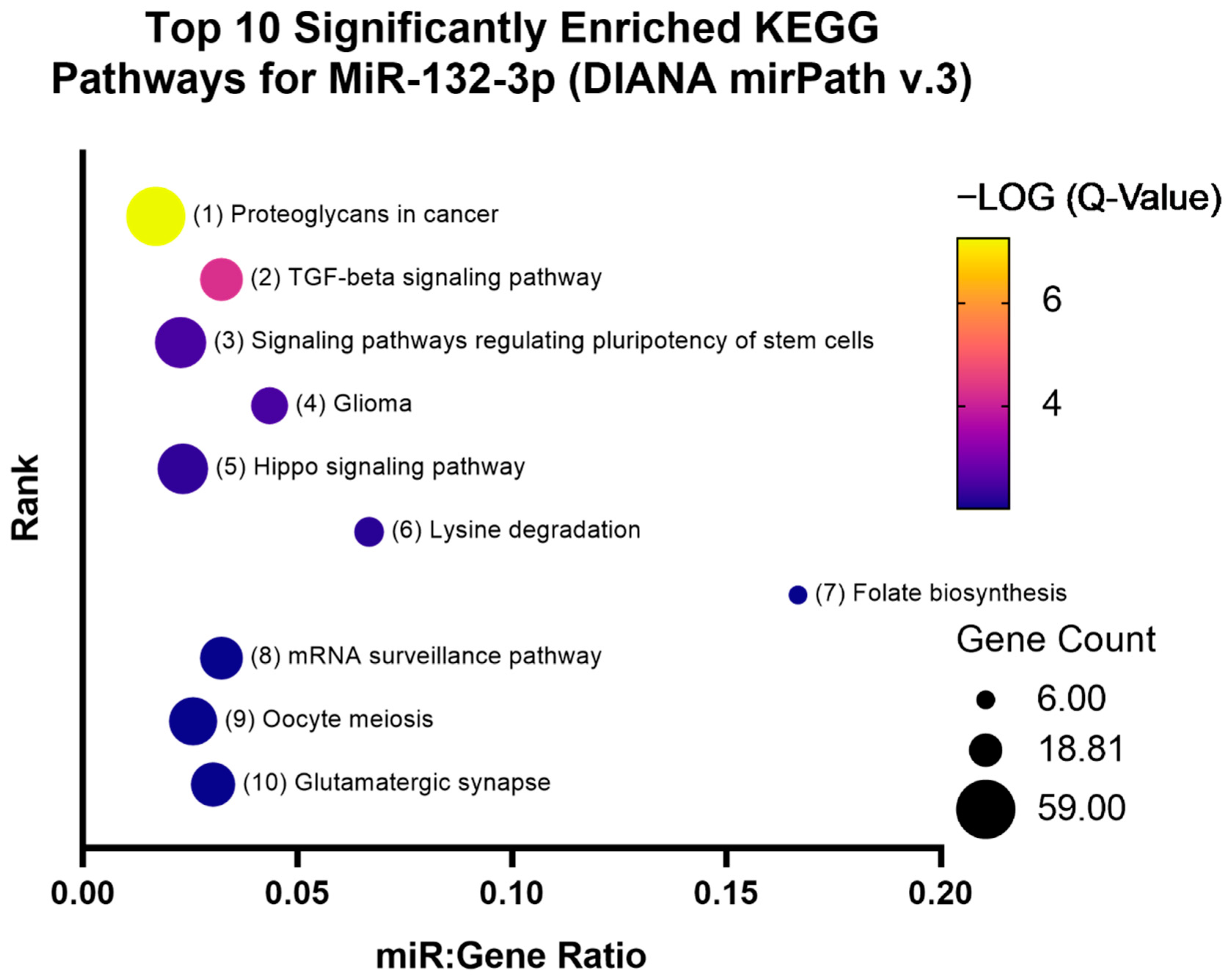 Genes 13 00665 g007