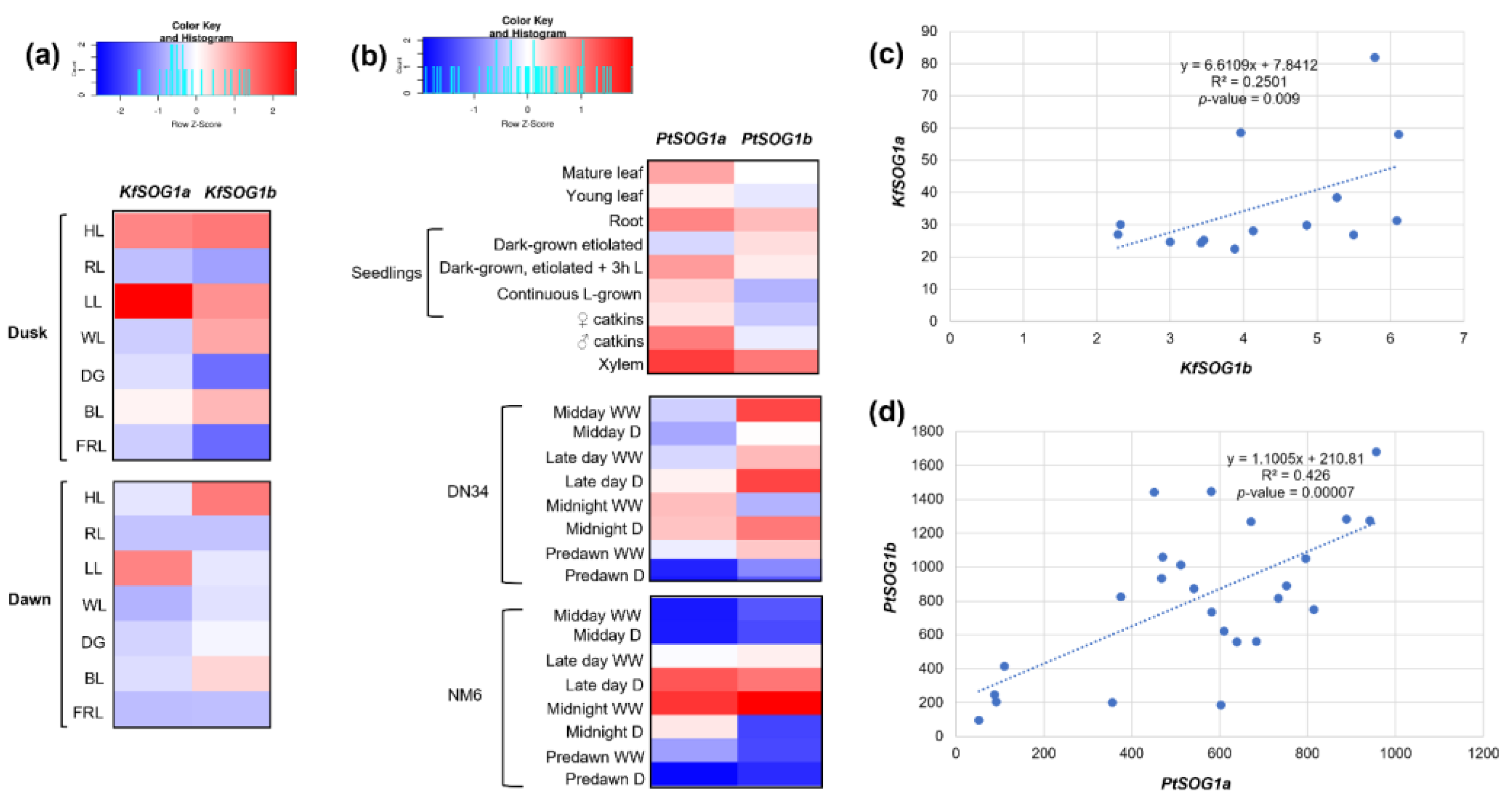 Genes 13 00667 g004