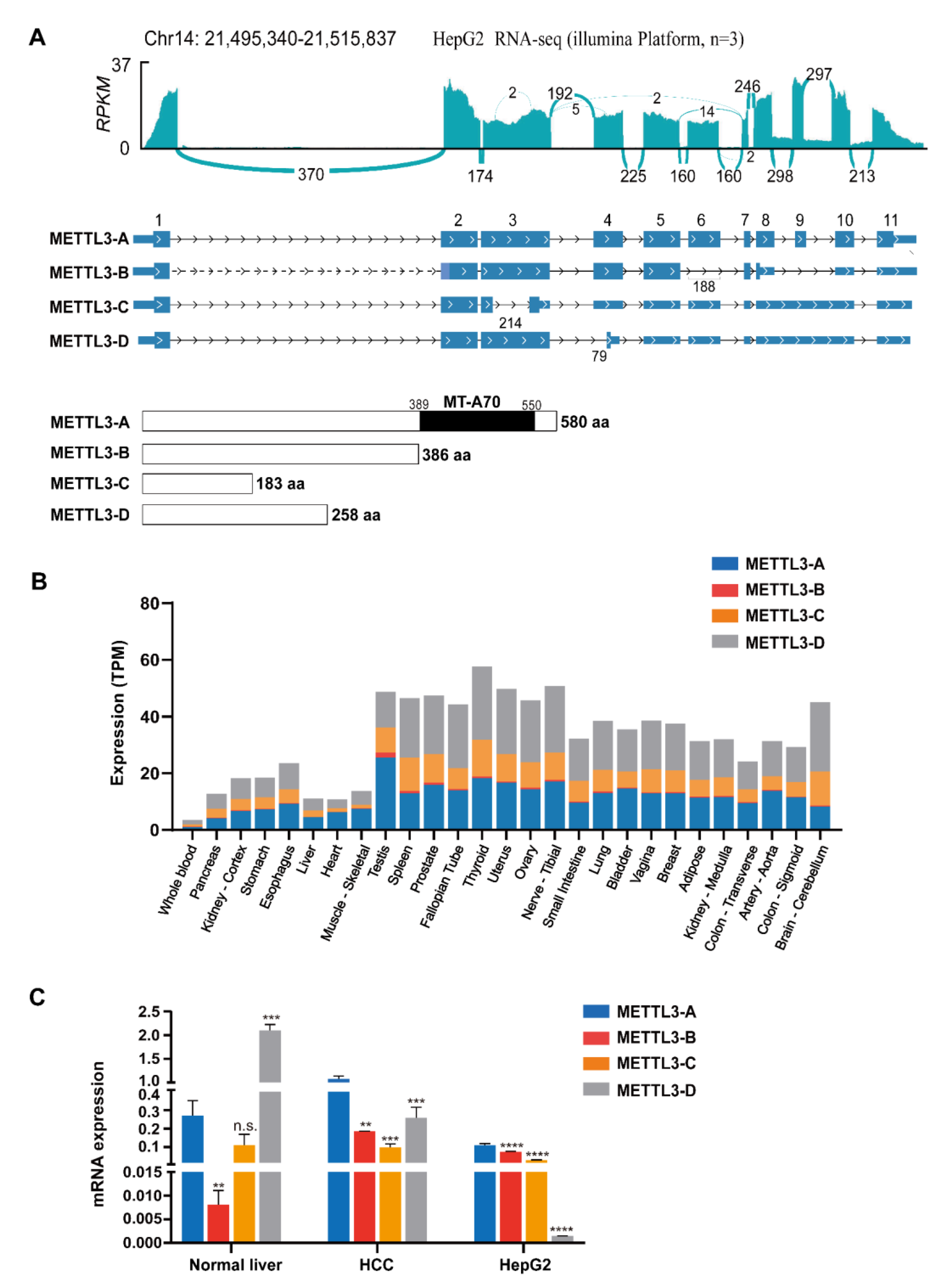 Genes 13 00669 g001