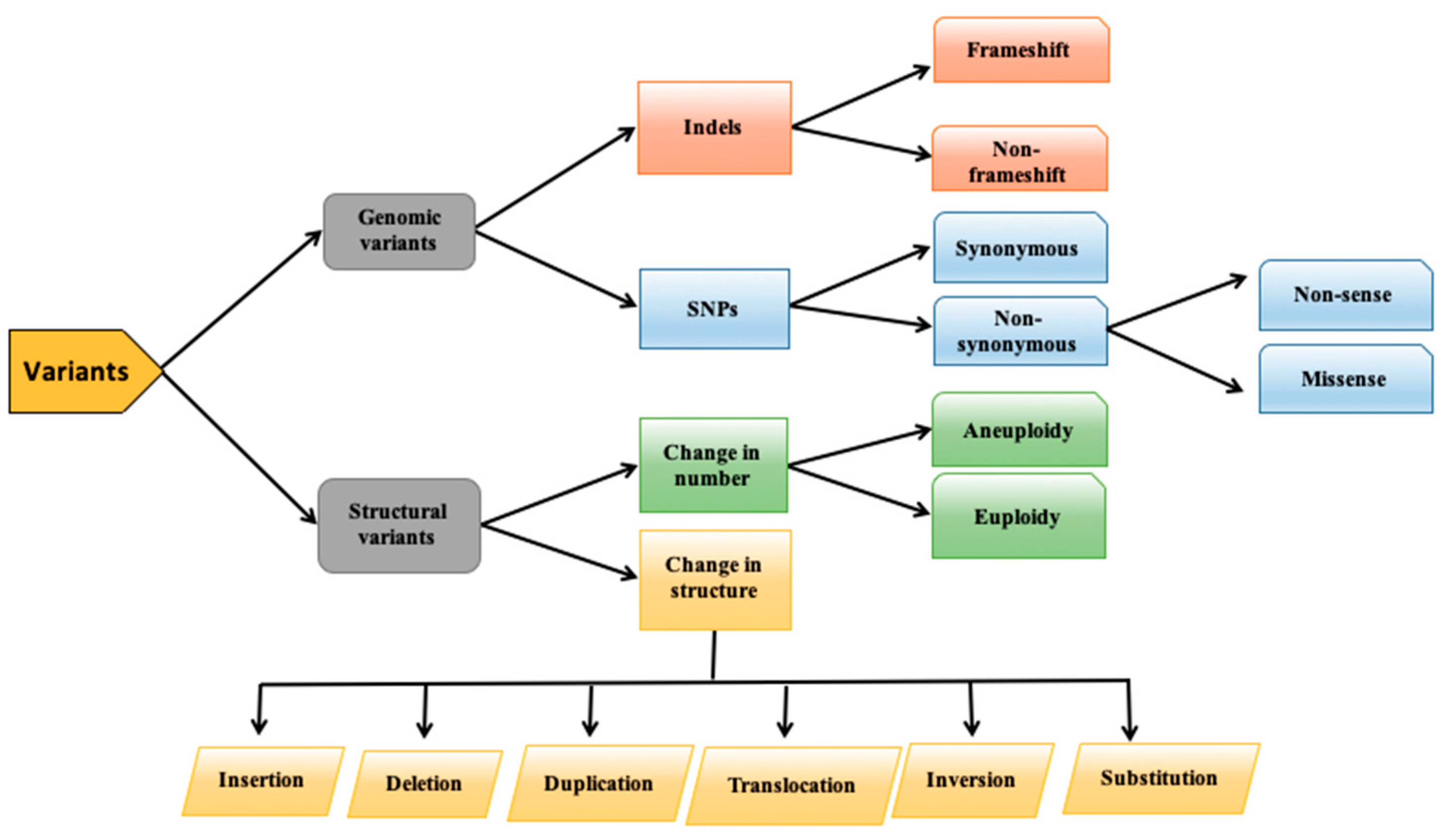 Genes 13 00672 g001 Genes 13 00672 g001