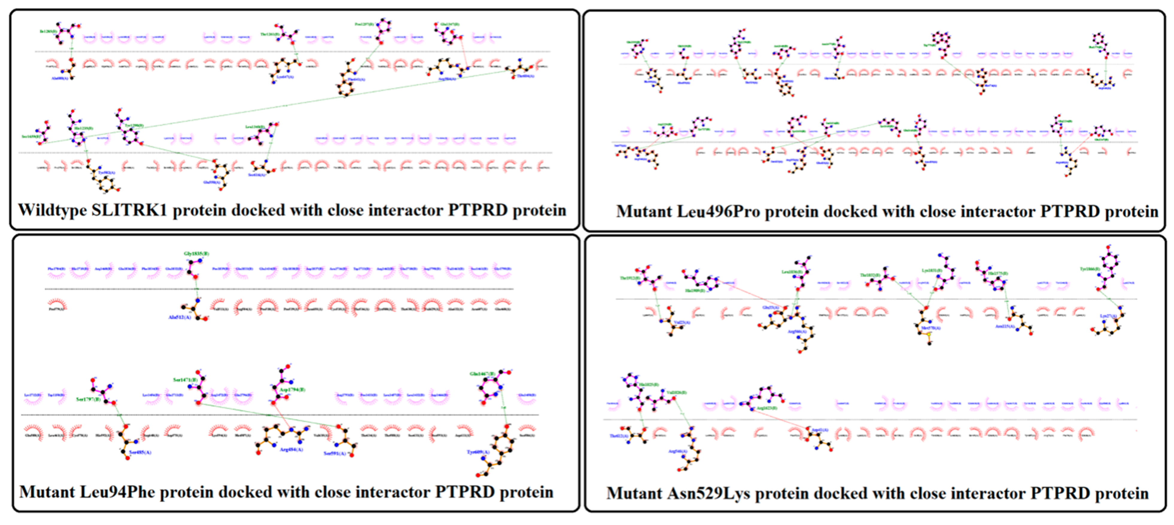 Genes 13 00672 g007 Genes 13 00672 g007