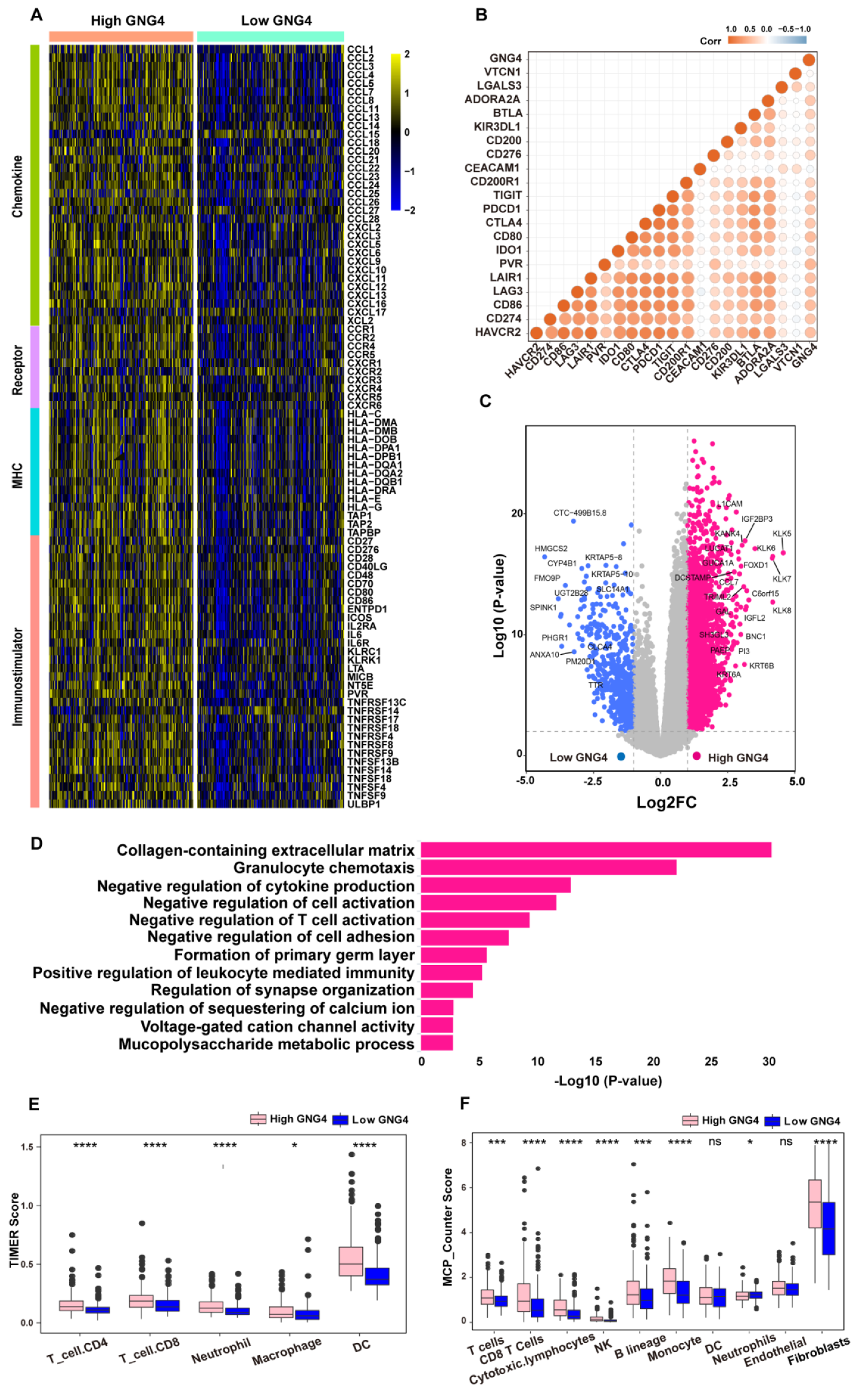 Genes 13 00693 g002