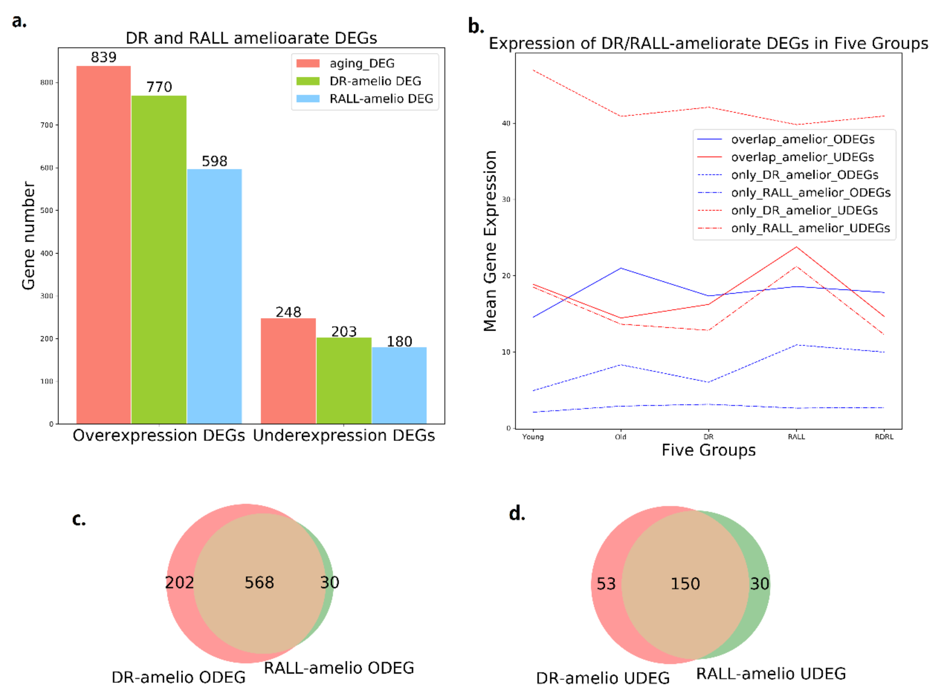 Genes 13 00699 g002