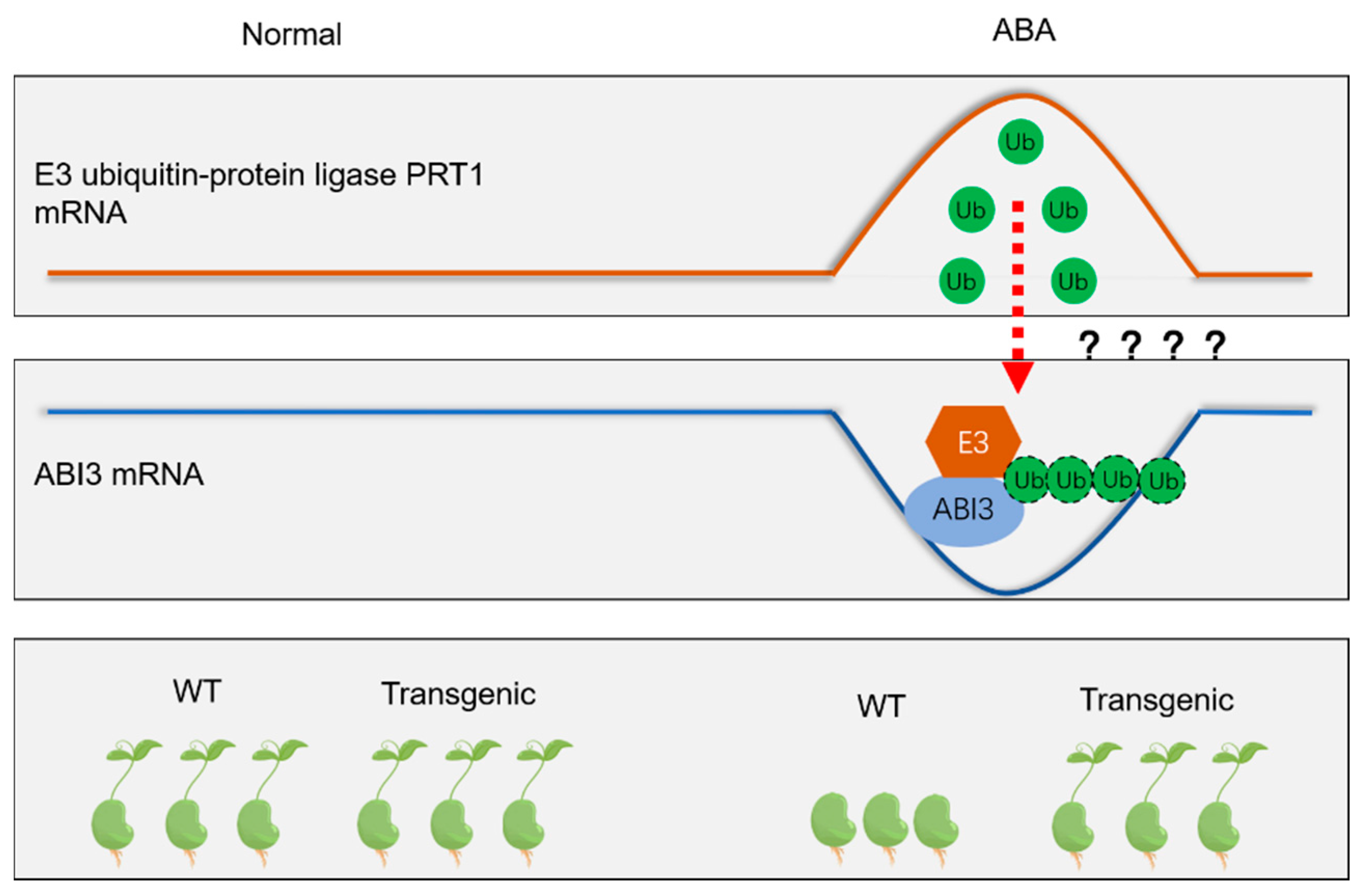 Genes 13 00718 g007