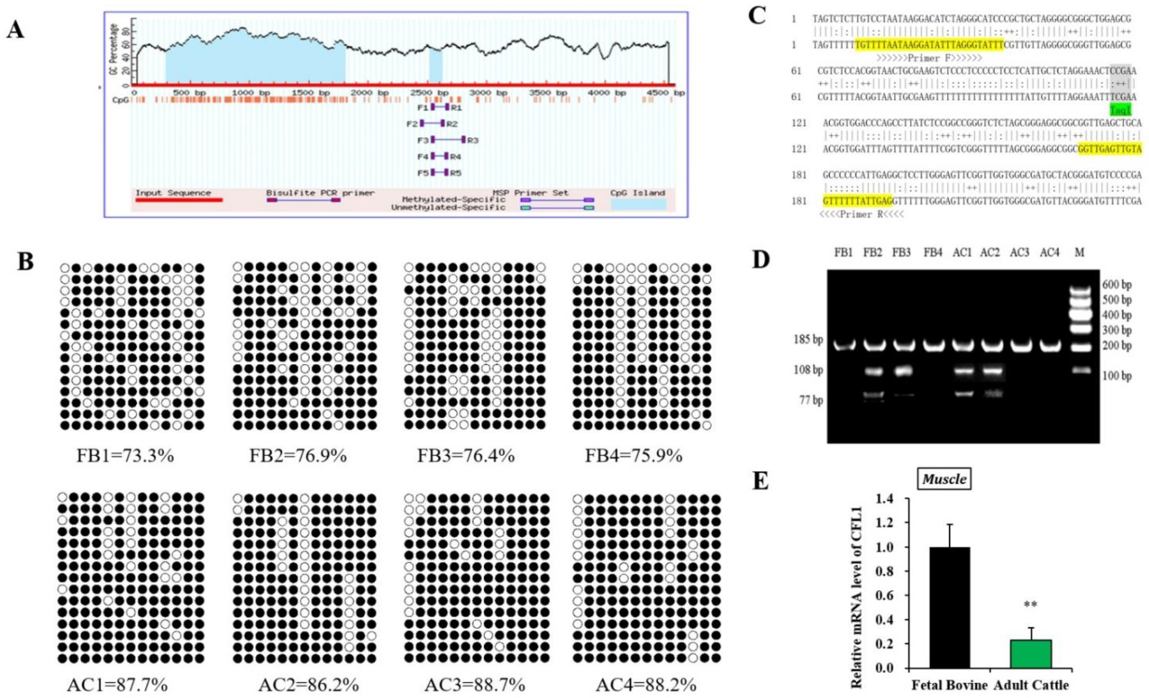 Genes 13 00723 g002
