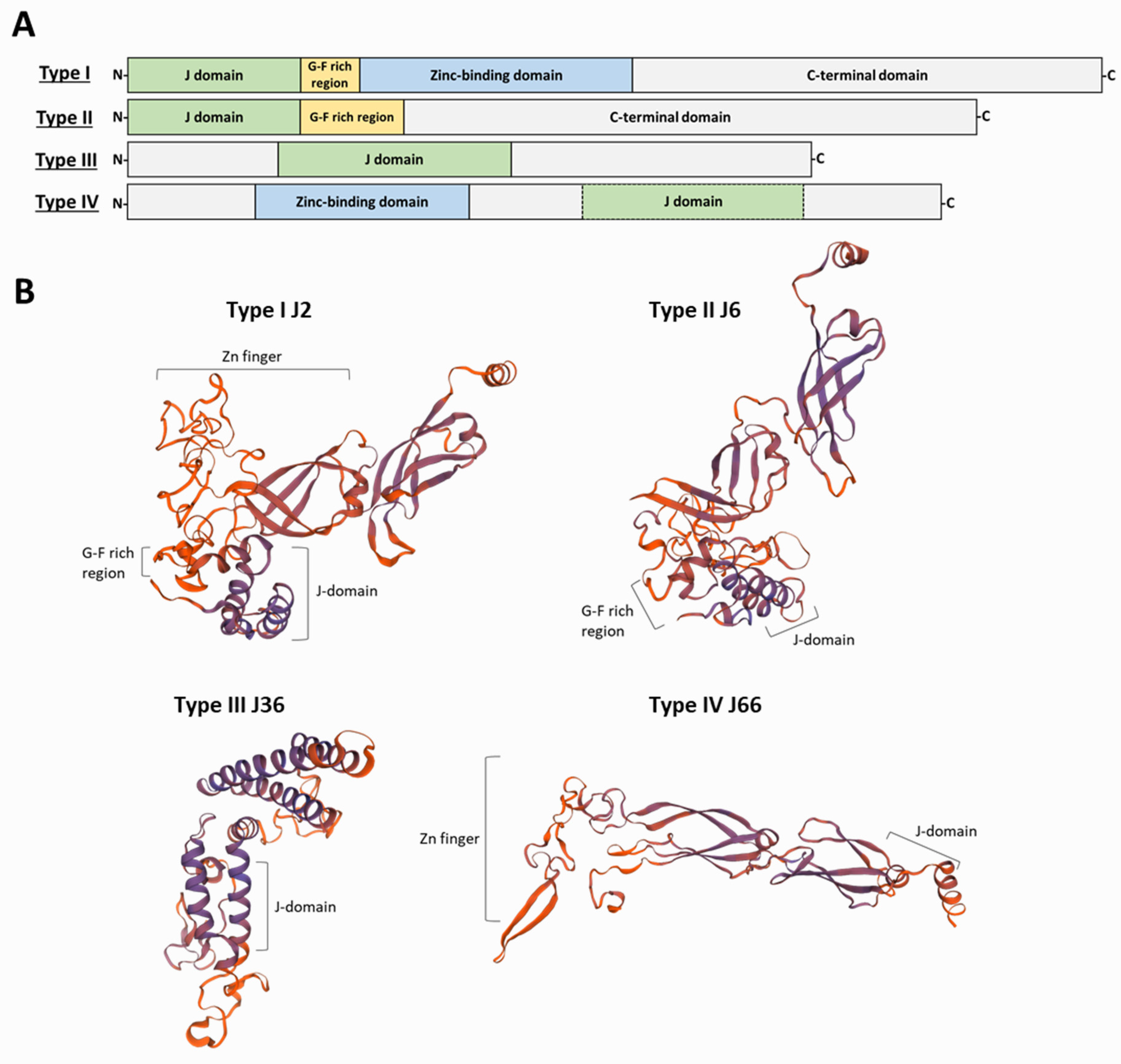 Genes 13 00742 g002 Genes 13 00742 g002