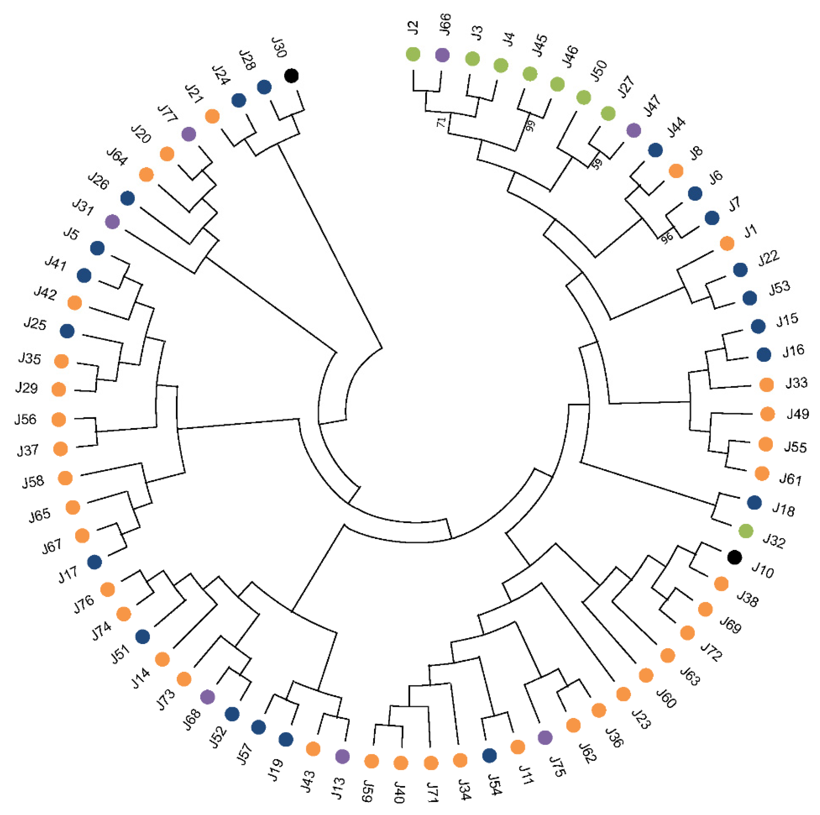 Genes 13 00742 g003 Genes 13 00742 g003