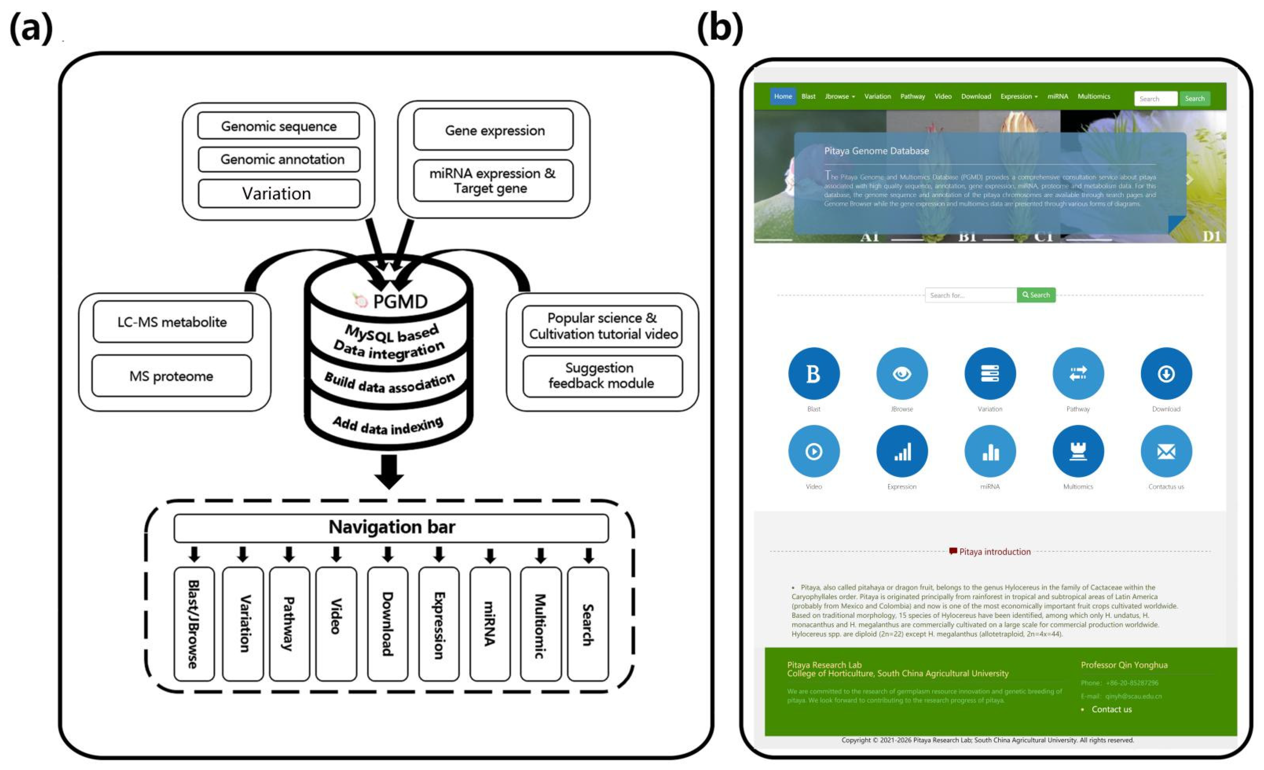 Genes 13 00745 g001