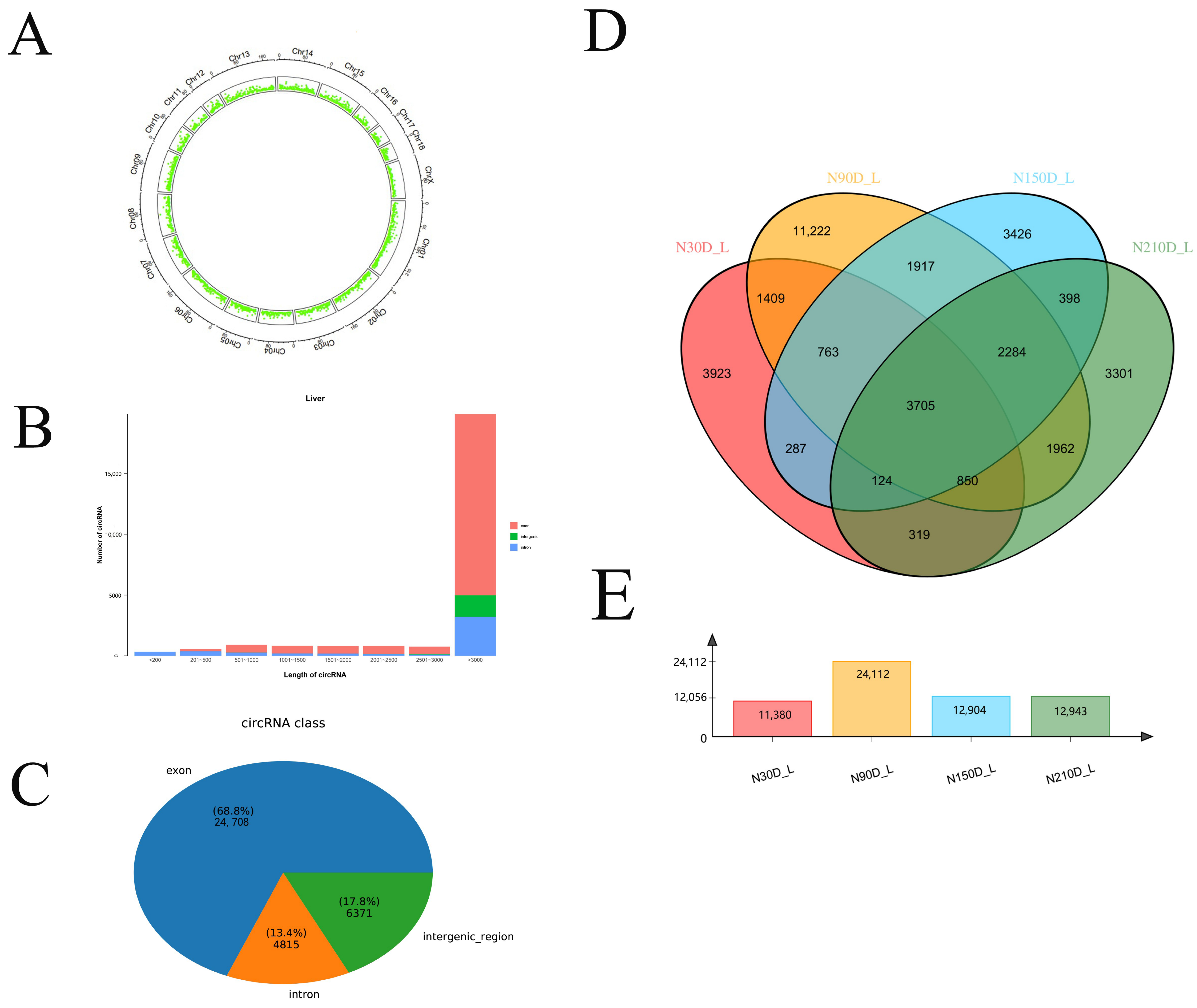 Genes 13 00746 g001