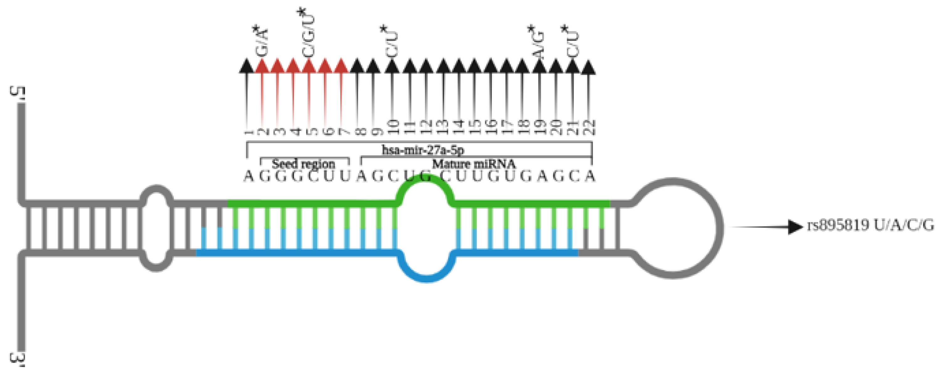 Genes 13 00747 g001