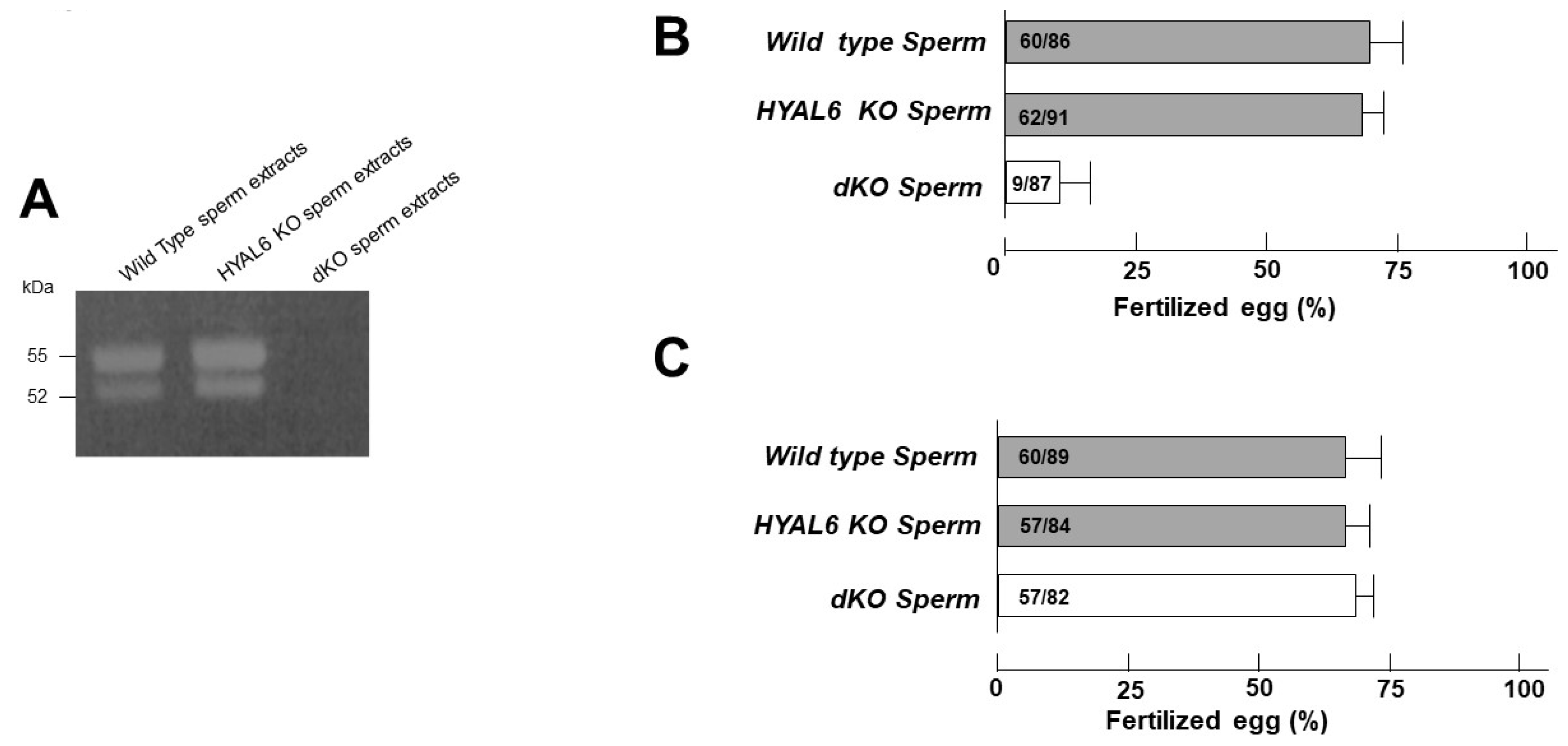 Genes 13 00753 g006