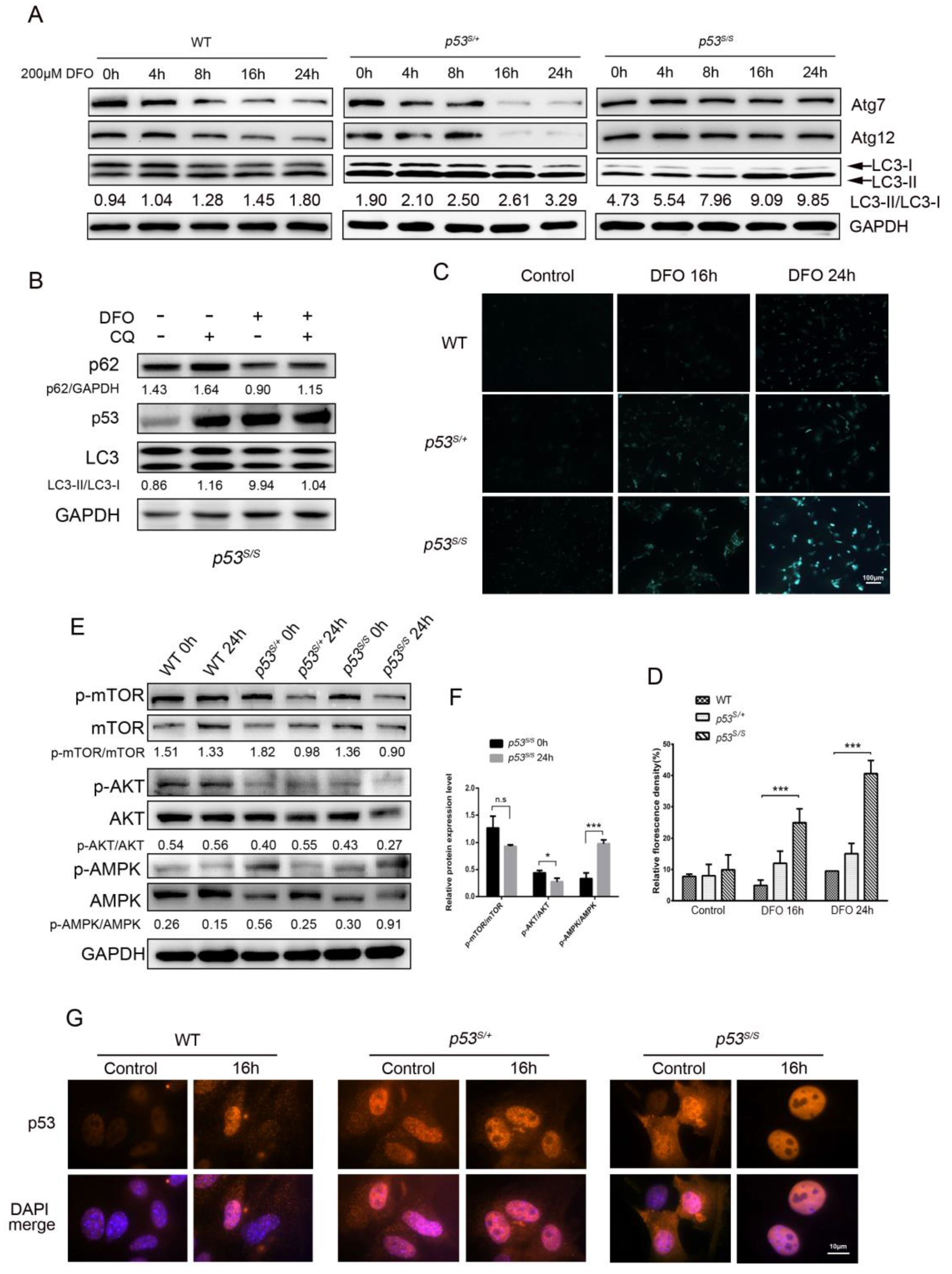 Genes 13 00763 g002 Genes 13 00763 g002